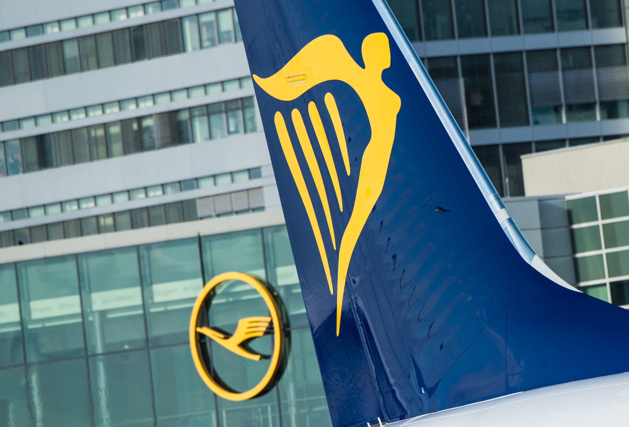Ryanair Has Called For The Lift Of International Travel Restrictions From End Of May Image