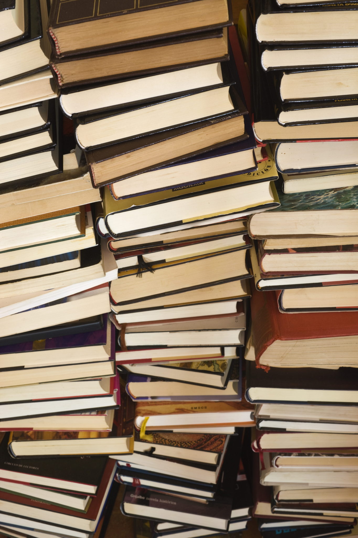 Ban The Books! Should Certain Books Be Removed From School Curriculum