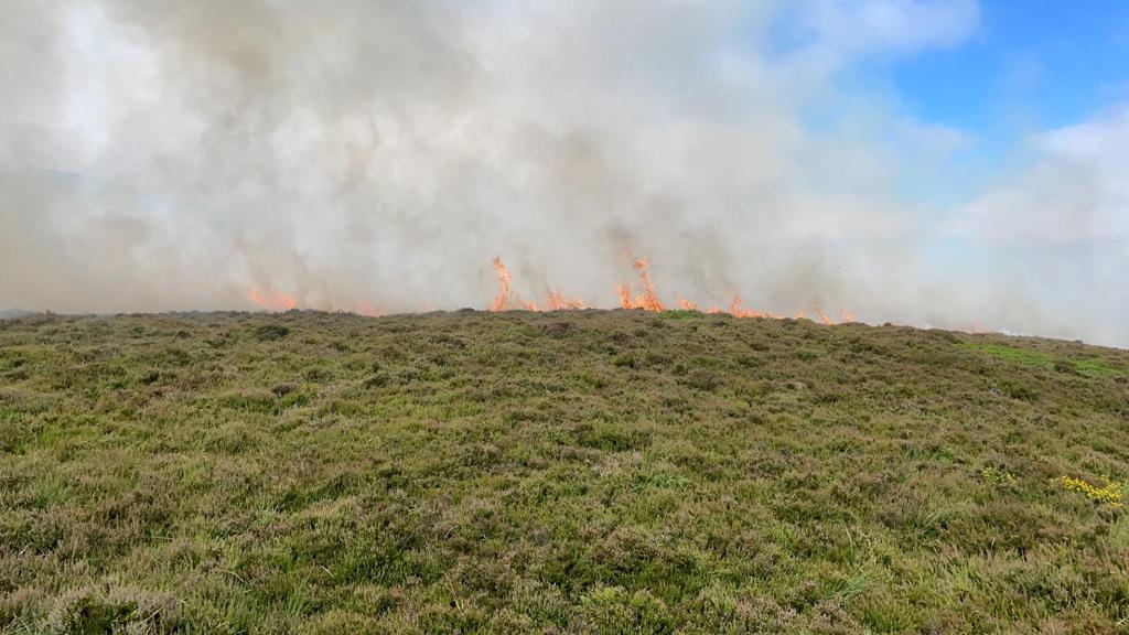Howth man lends helping hand in tackling wildfires with unusual ...