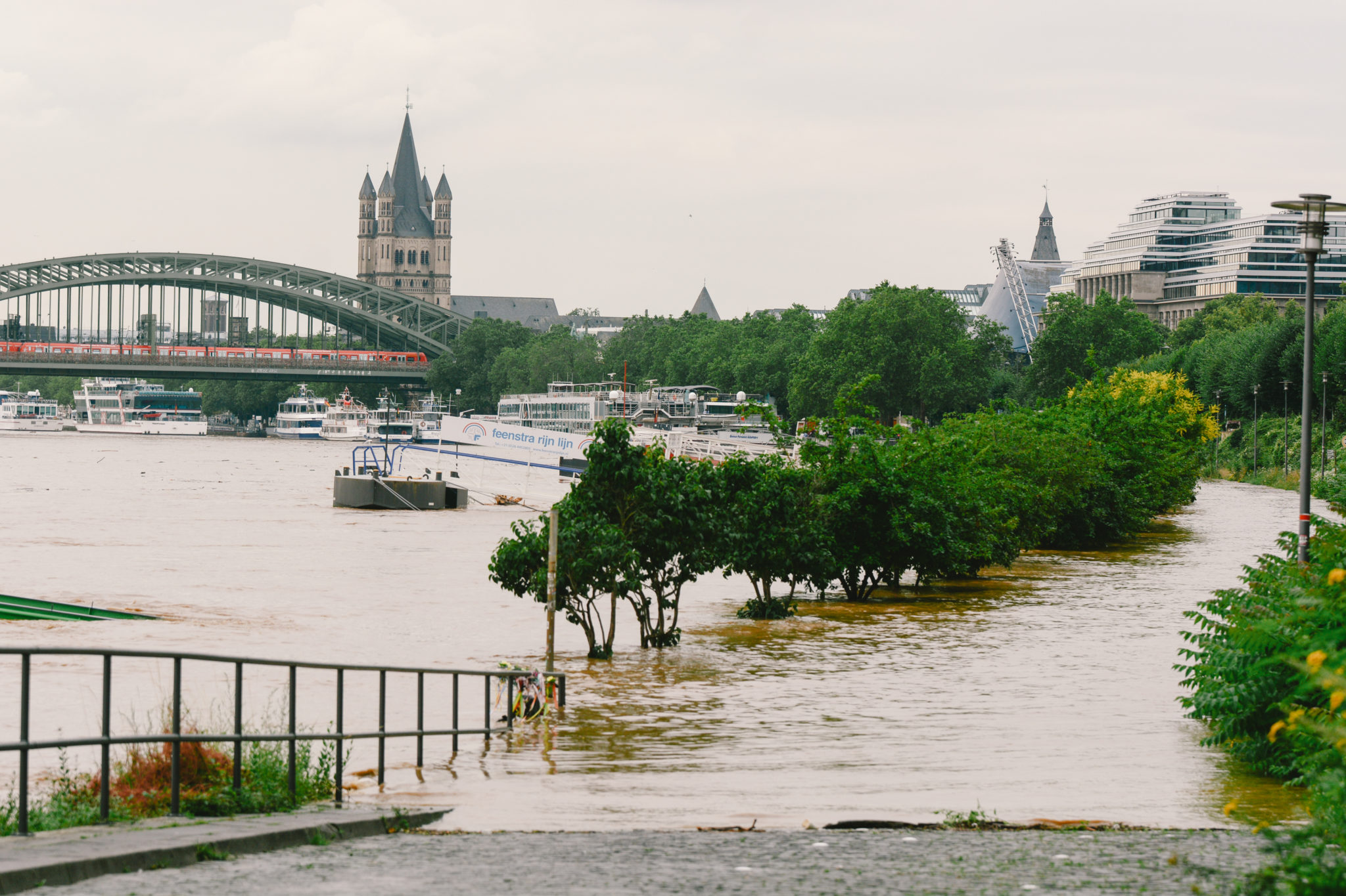 The bank of the river Rhine is seen flooded in Cologne, western Germany