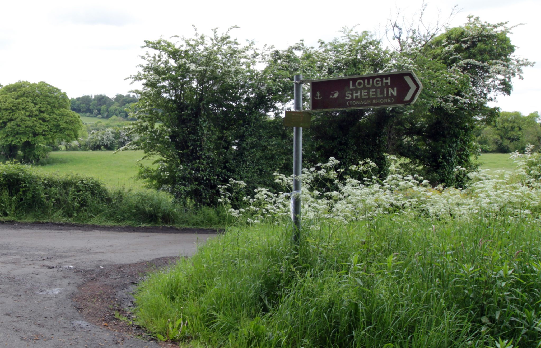 A sign for Lough Sheelin on the borders of Cavan, Westmeath and Meath. Image: Mark Stedman