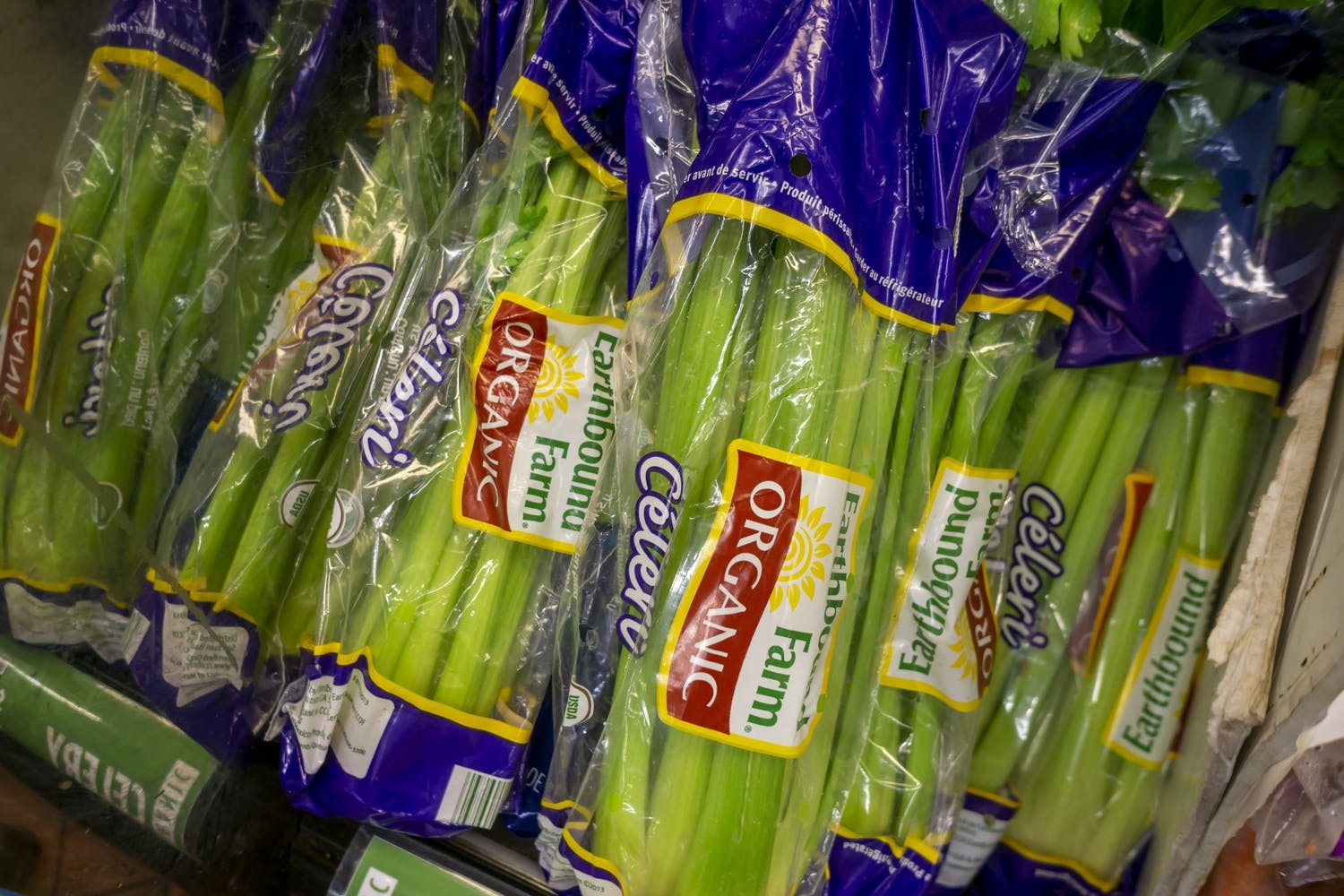 Is it true that we burn more calories chewing celery than are in it? Newstalk