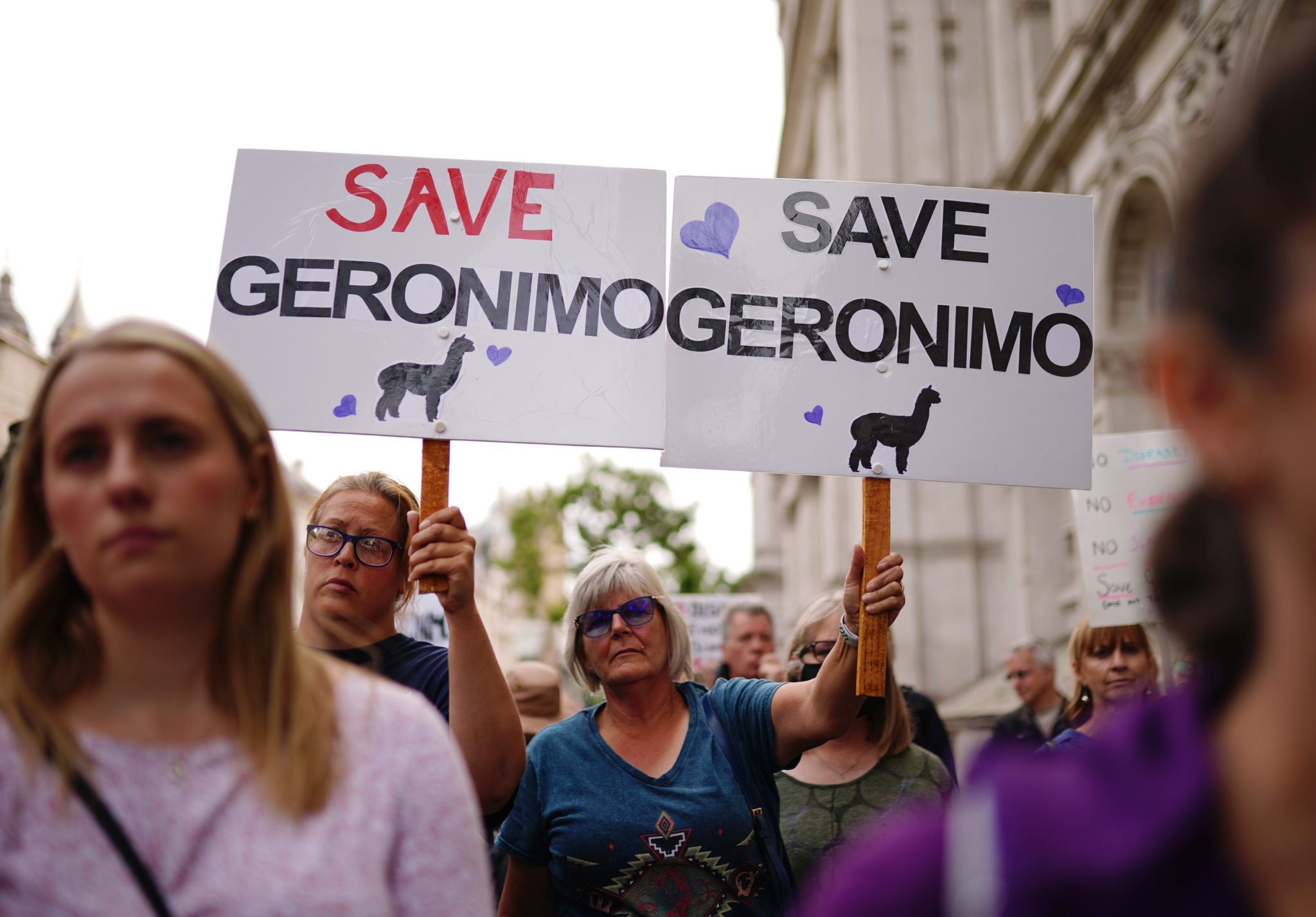 Demonstrators head to Downing Street in central London, during the protest march against the decision to put down Geronimo, the alpaca which has tested positive for tuberculosis.