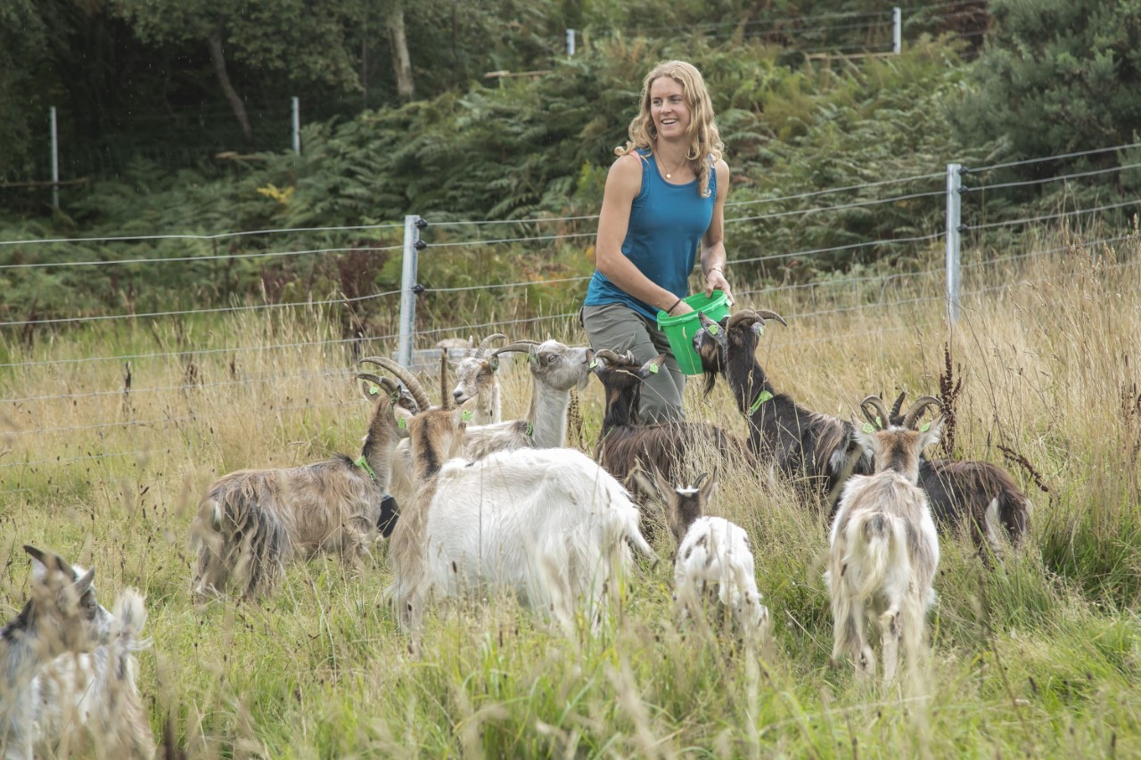 Goatherd Melissa Jeuken with her firefighting goats on Howth Head. Image: Orla Murray/Coalesce