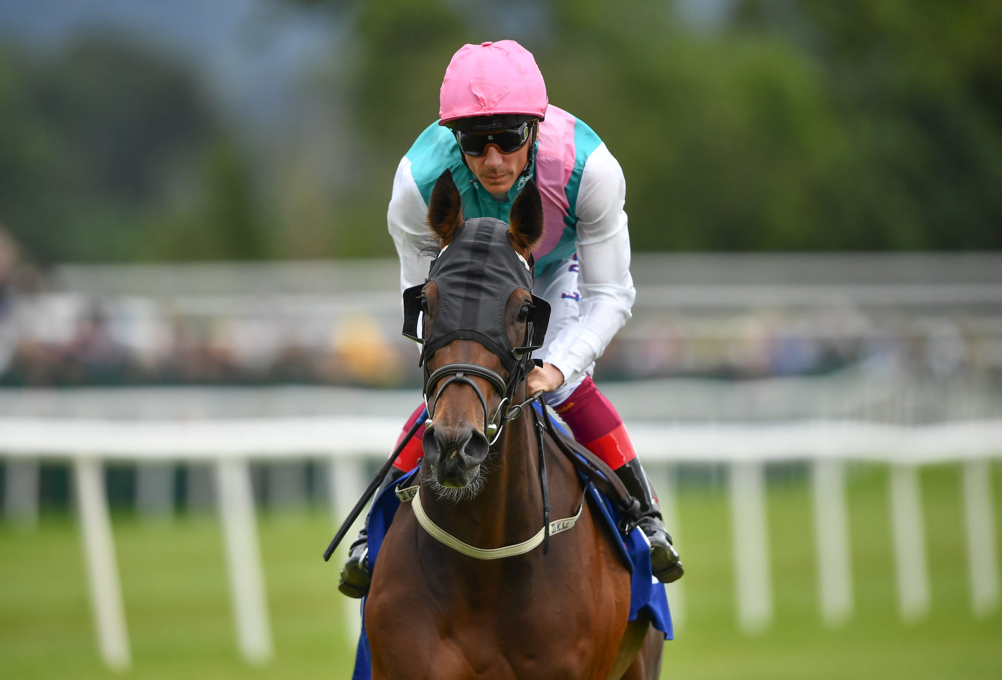 Dettori