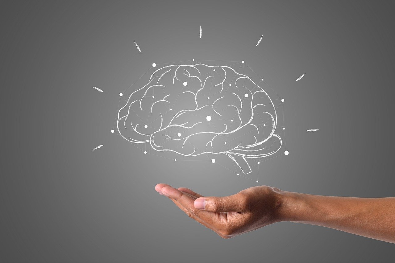 Brain HQ - Helping People Living with mTBIs Image