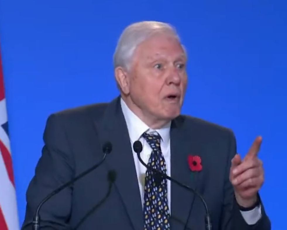 Attenborough We can still 'witness a wonderful recovery' in