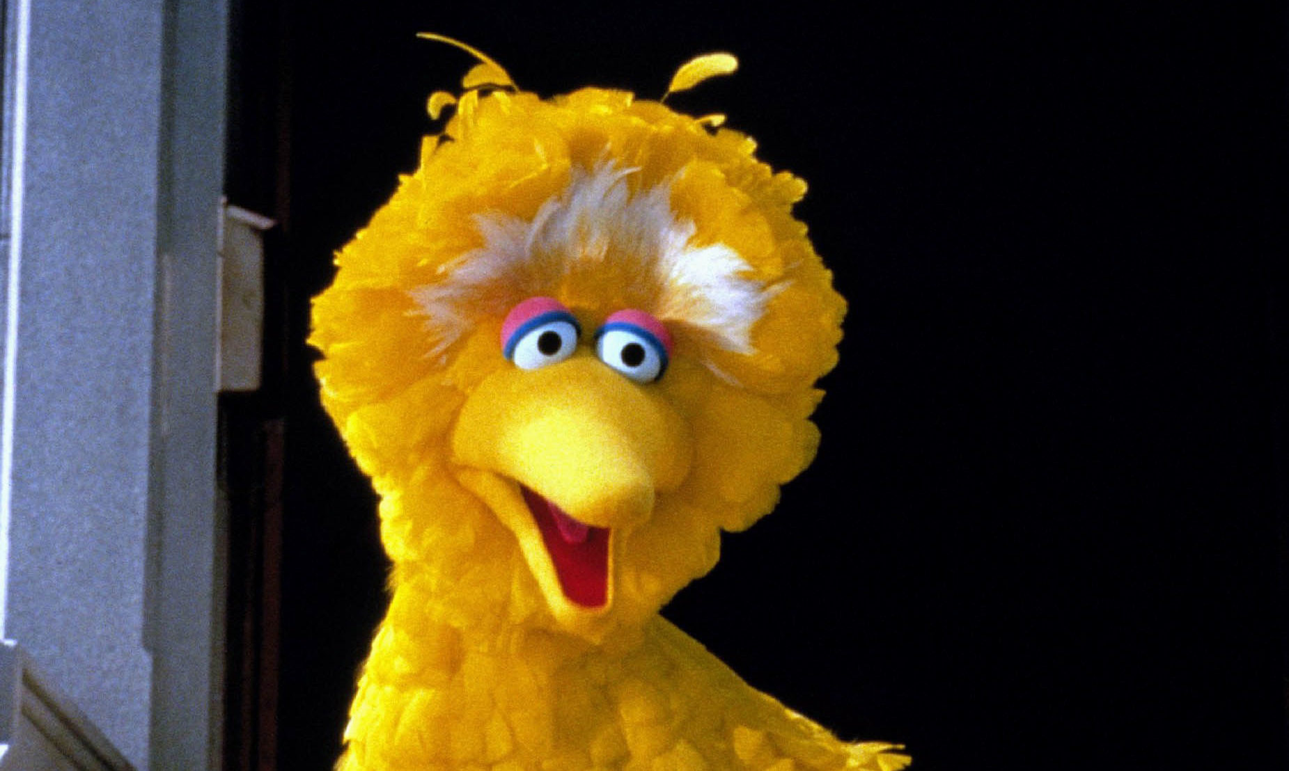 Is Big Bird A Muppet Or A Puppet? The Big Debate