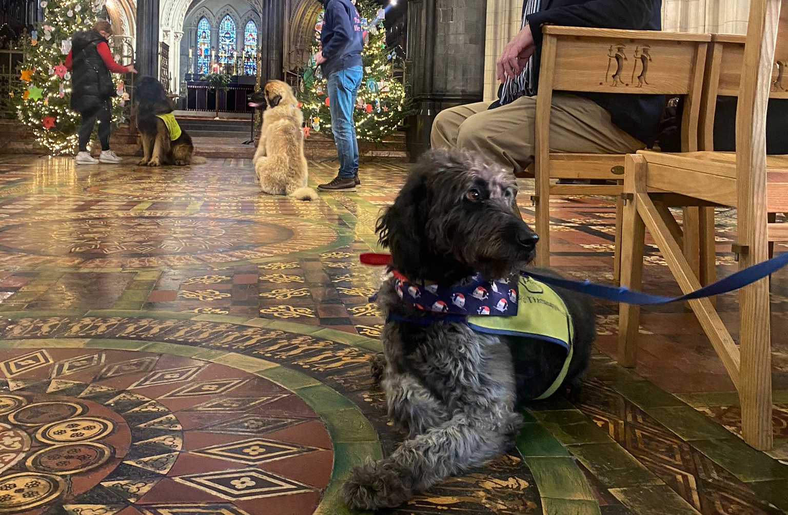 are service dogs allowed in churches