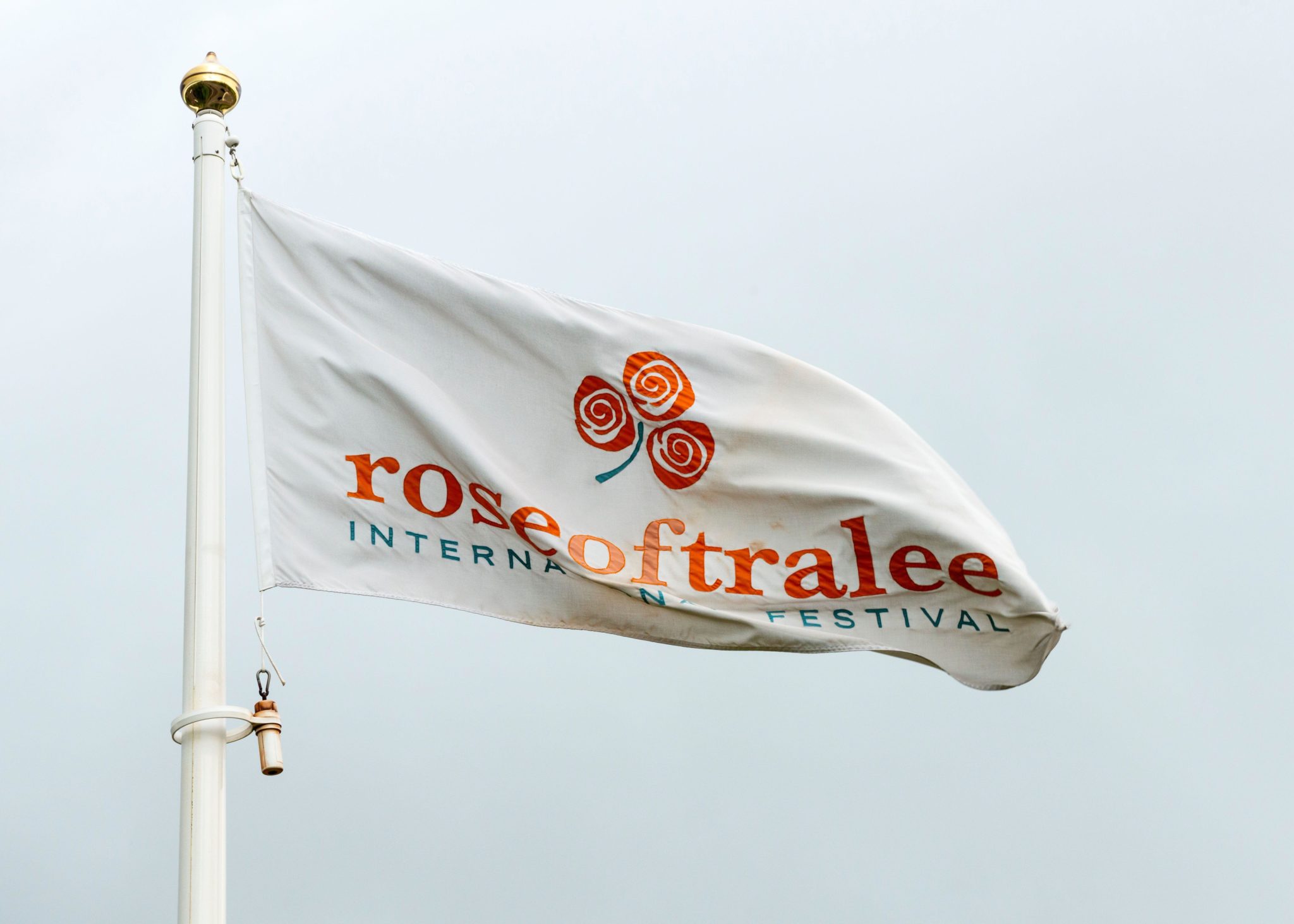 "Every county should have something like this" - Rose of Tralee festivities - Vimarsana News
