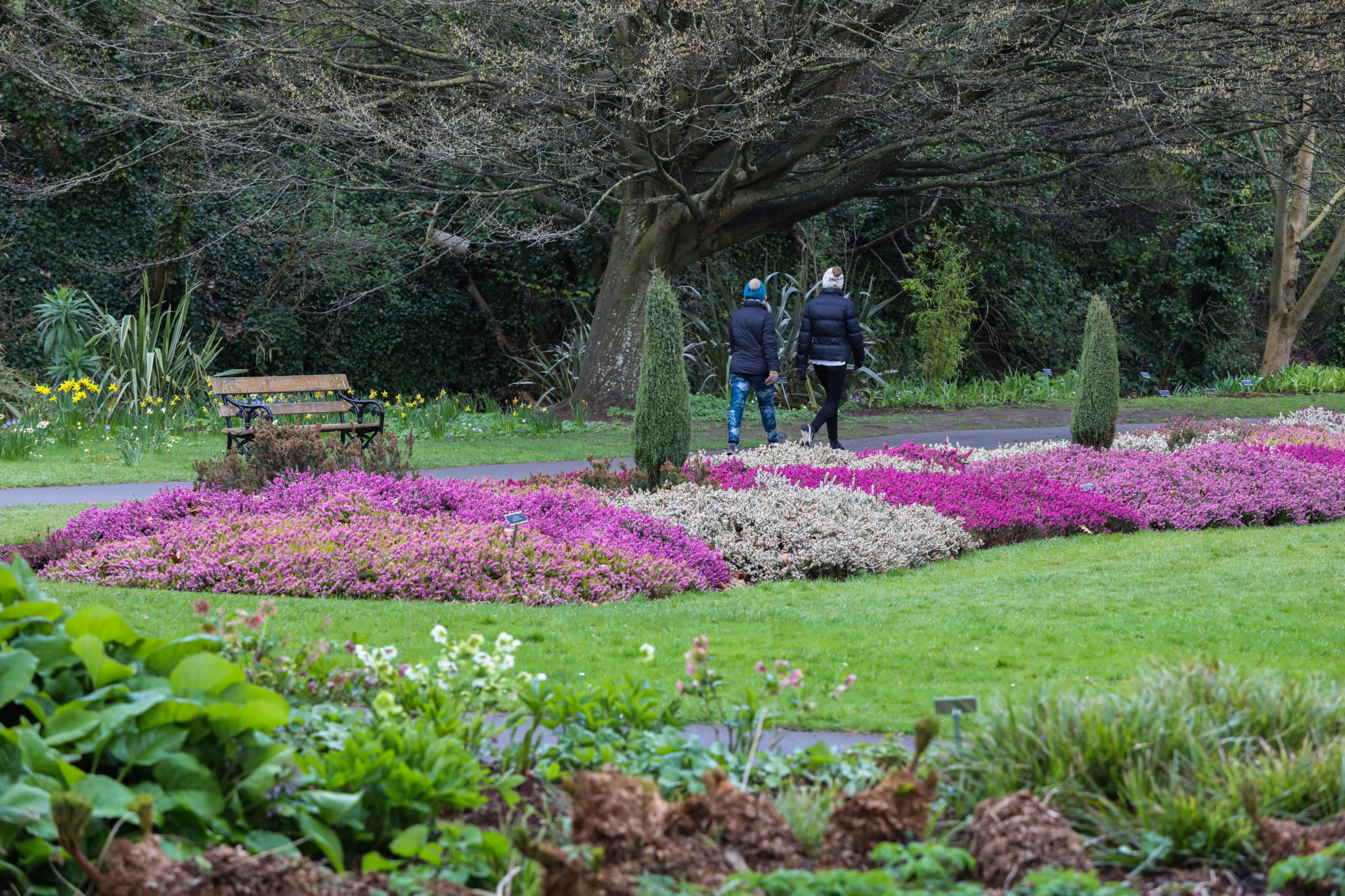 People walking in the Botanic Gardens, Dublin, 26-03-2021. Image: Leah Farrell/RollingNews