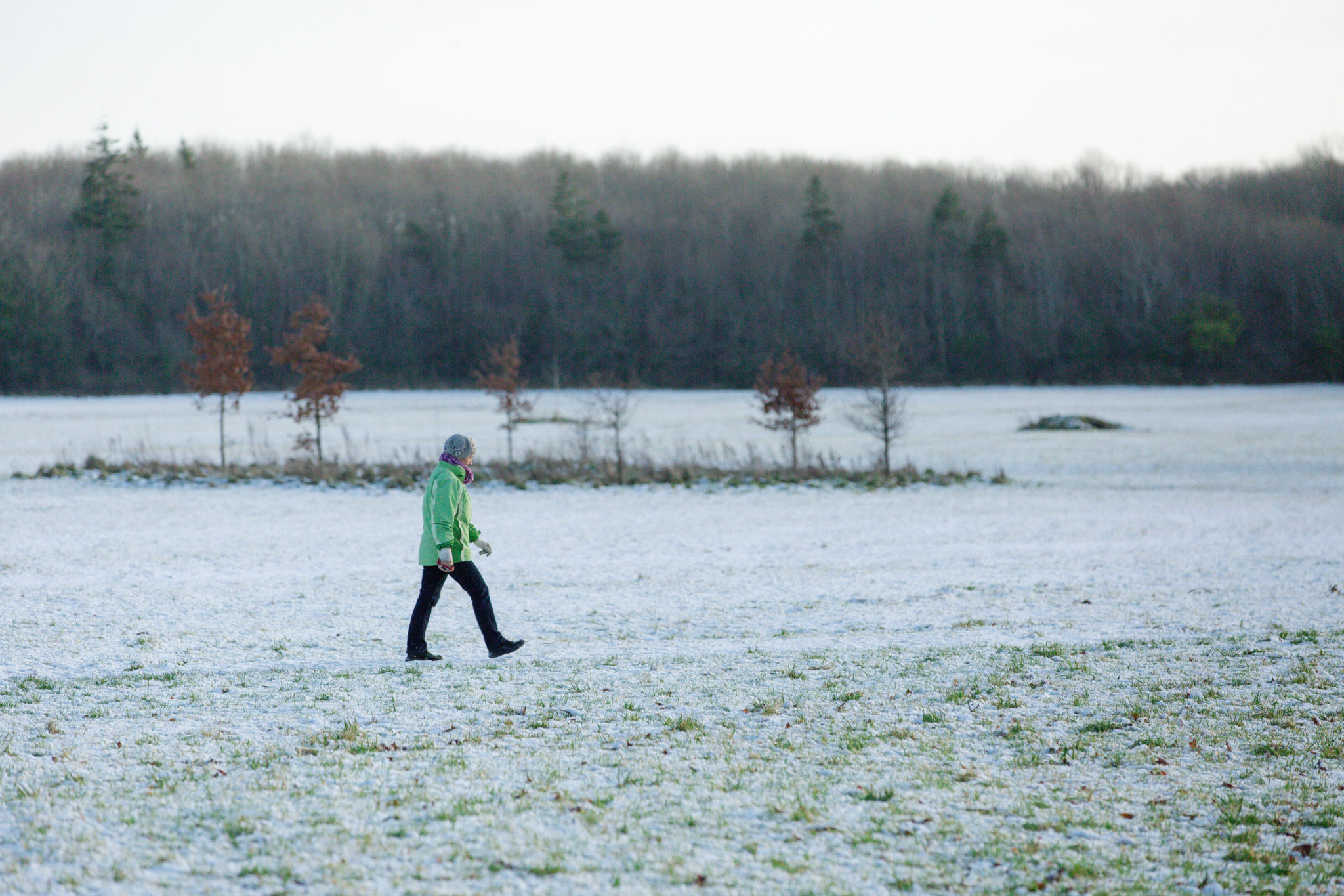 Snow In Parts Of Cork This Morning - Vimarsana News