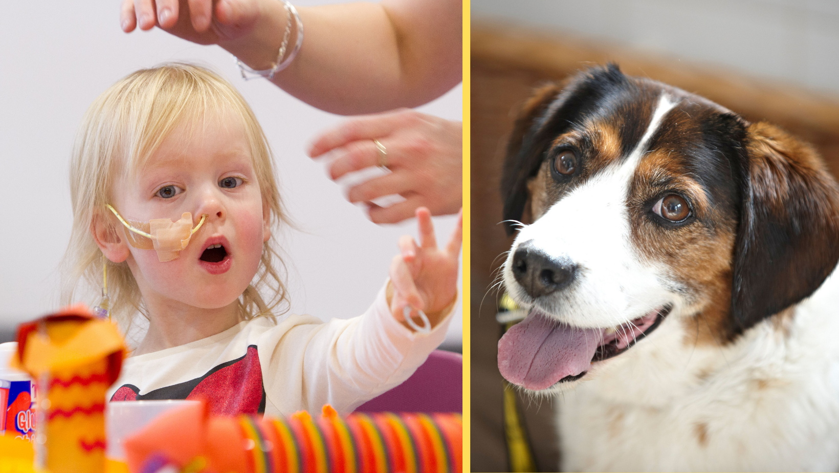 Crumlin Children's Hospital To Open Kennels So Pets Can Visit Patients