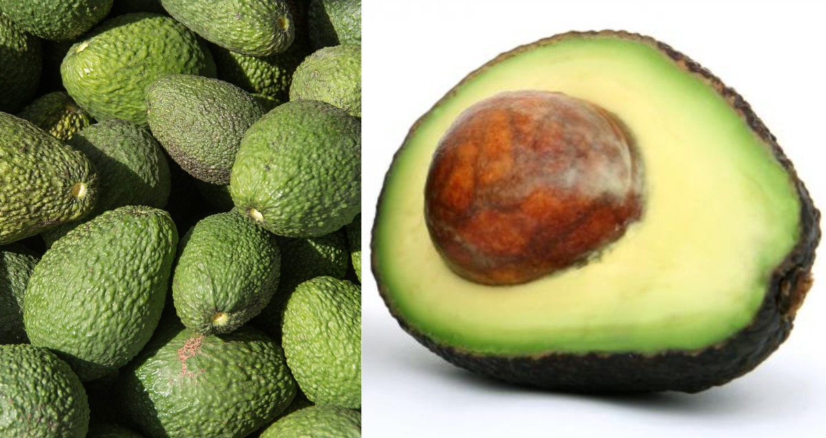 Ireland's Incredible Connection To Avocados