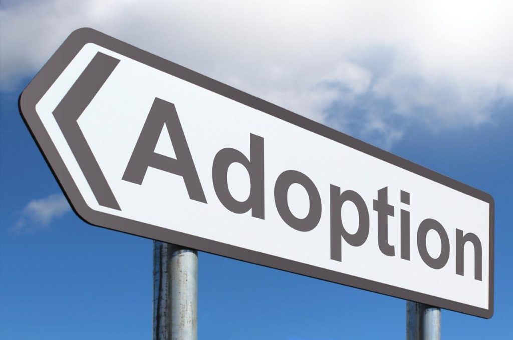adopted. Image of road sign with the word adoption written on it in black letters