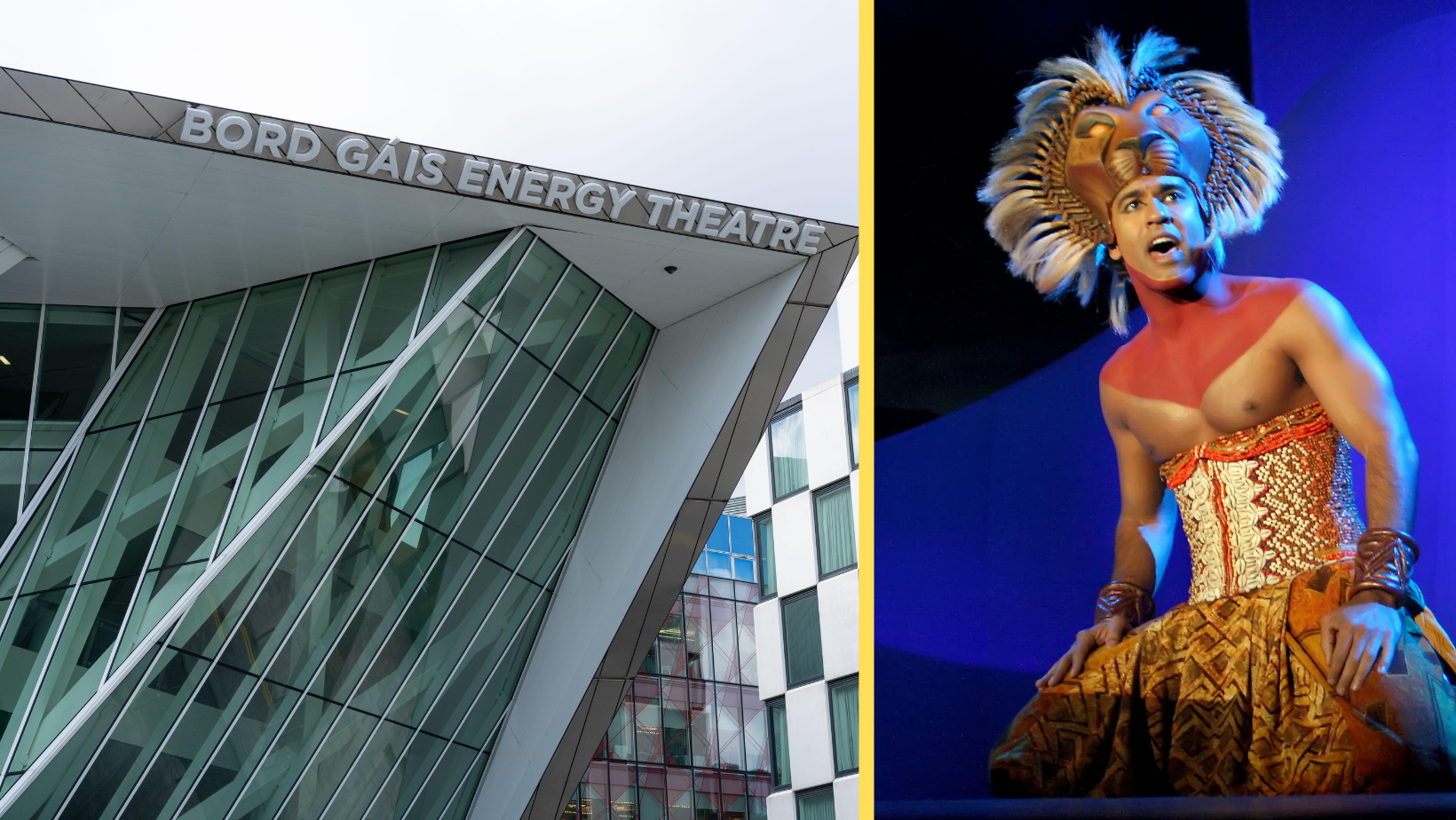 Bord Gais Energy Theatre Condemn "Vile" Racial Attack On Lion King Crew
