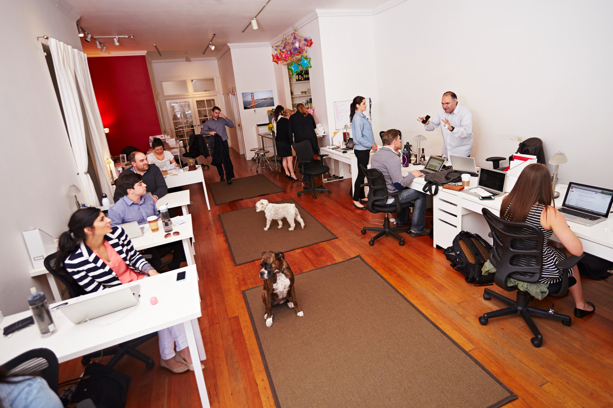 People at work in an office with dogs in April 2014
