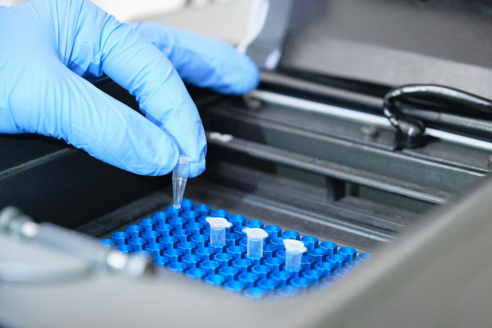 A scientist working on a PCR test