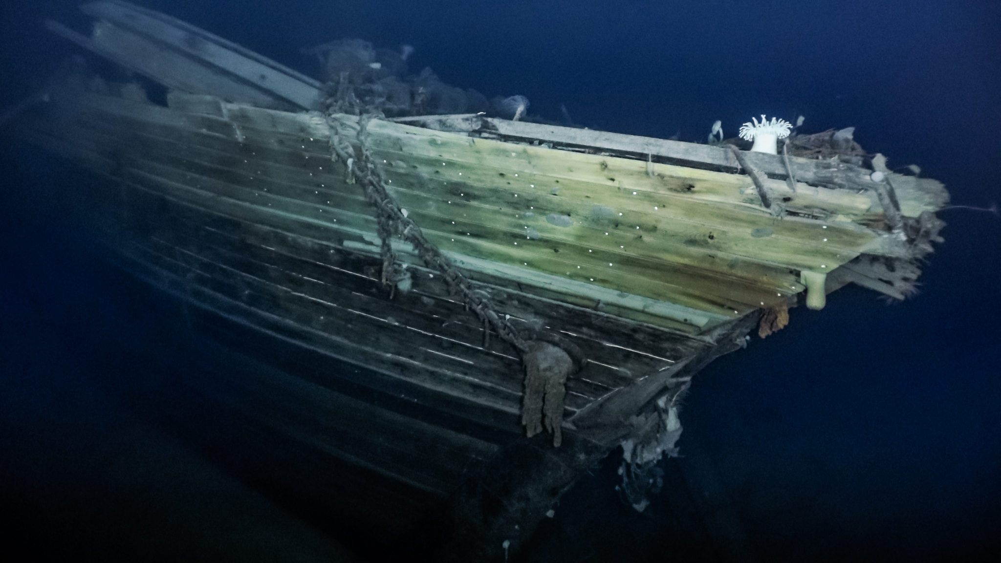 The Endurance discovered after 107 years. Image: Falklands Maritime Heritage Trust 