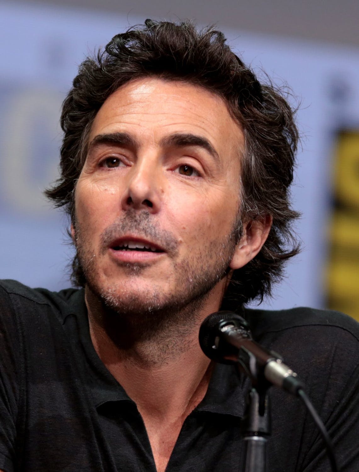 Shawn Levy Hollywood's Sunniest Director Newstalk