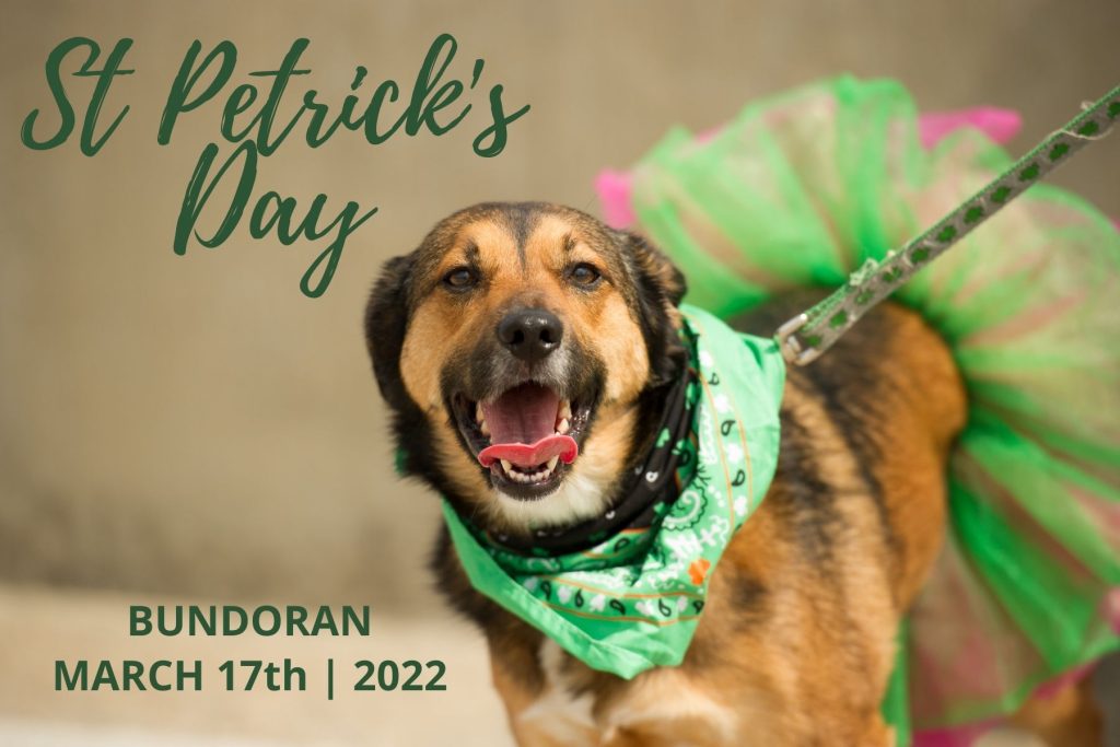 pet. Image shows dog with a green neck scarf and tutu. and the words Saint Patrick's Day Bundoran March 17th 2022.