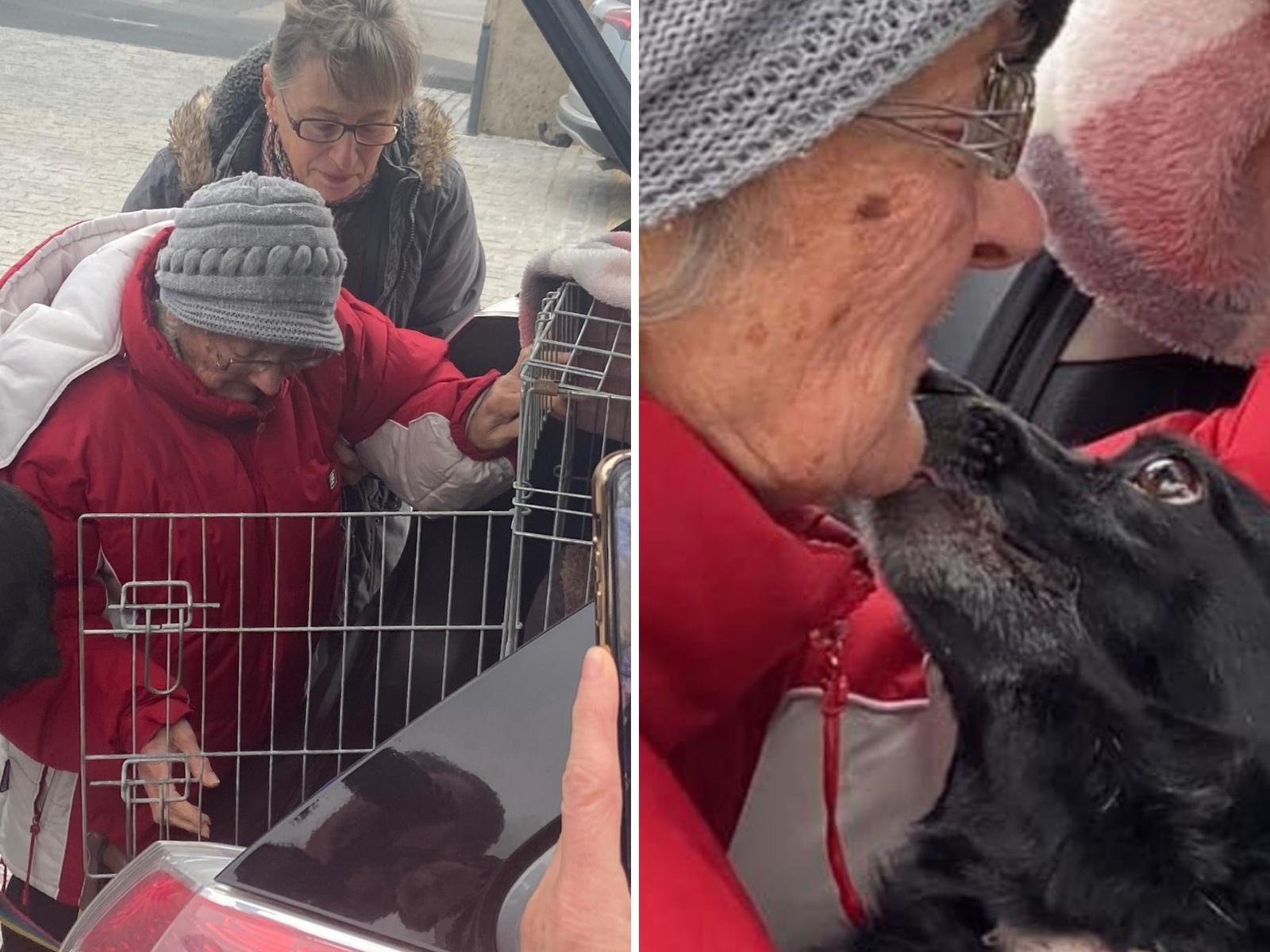 86-year-old grandmother Violetta is reunited with her best friend Tasha in County Clare.