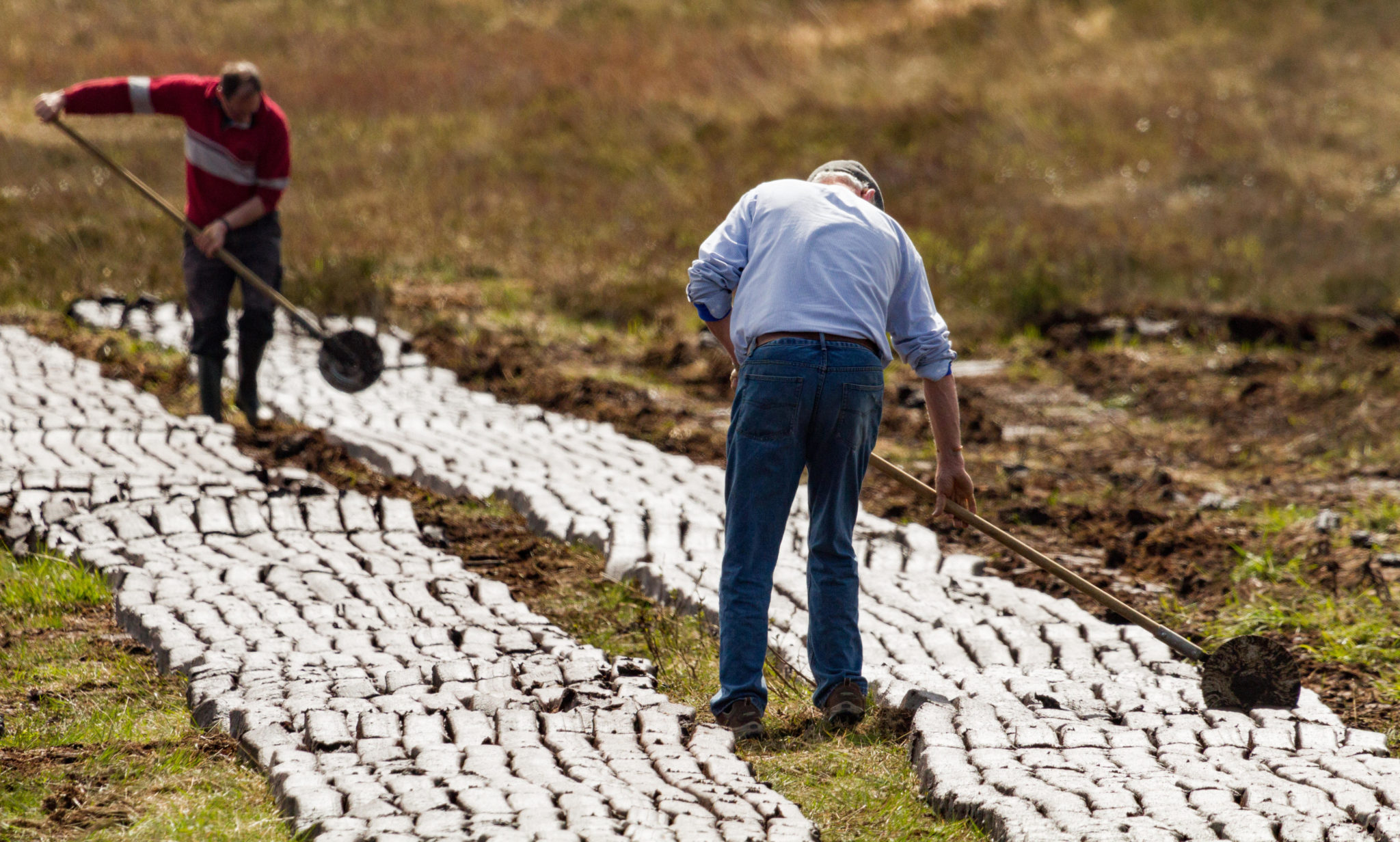 Men cutting turf in a peat bog field in Ireland in April 2019.