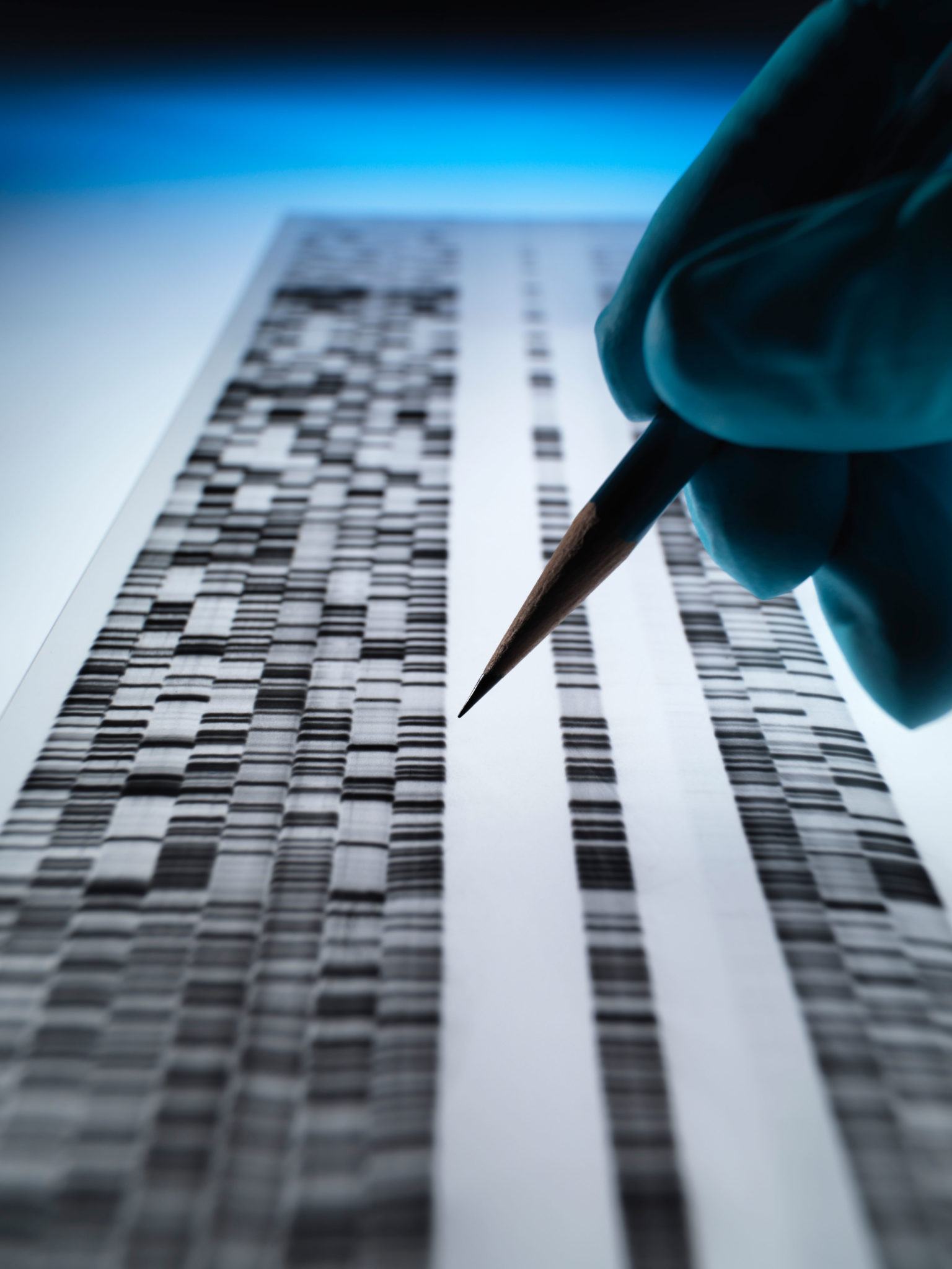 DPDM57 A scientist viewing DNA gel used in genetics