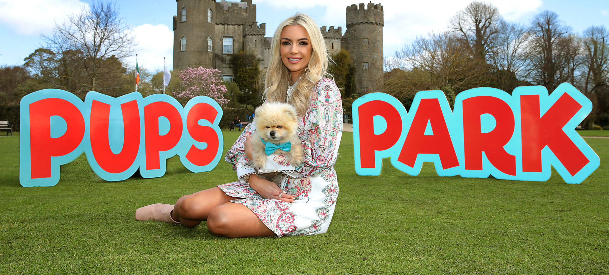 Pups In The Park Everything You Need To Know About Ireland's First