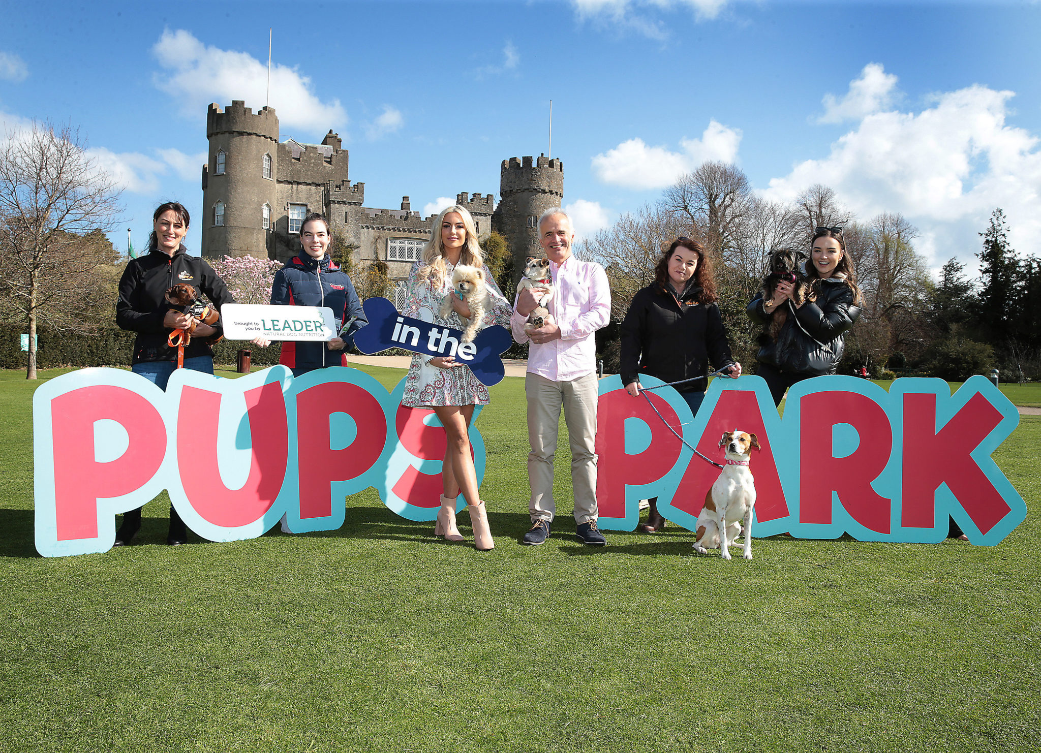 Pups In The Park Everything You Need To Know About Ireland's First