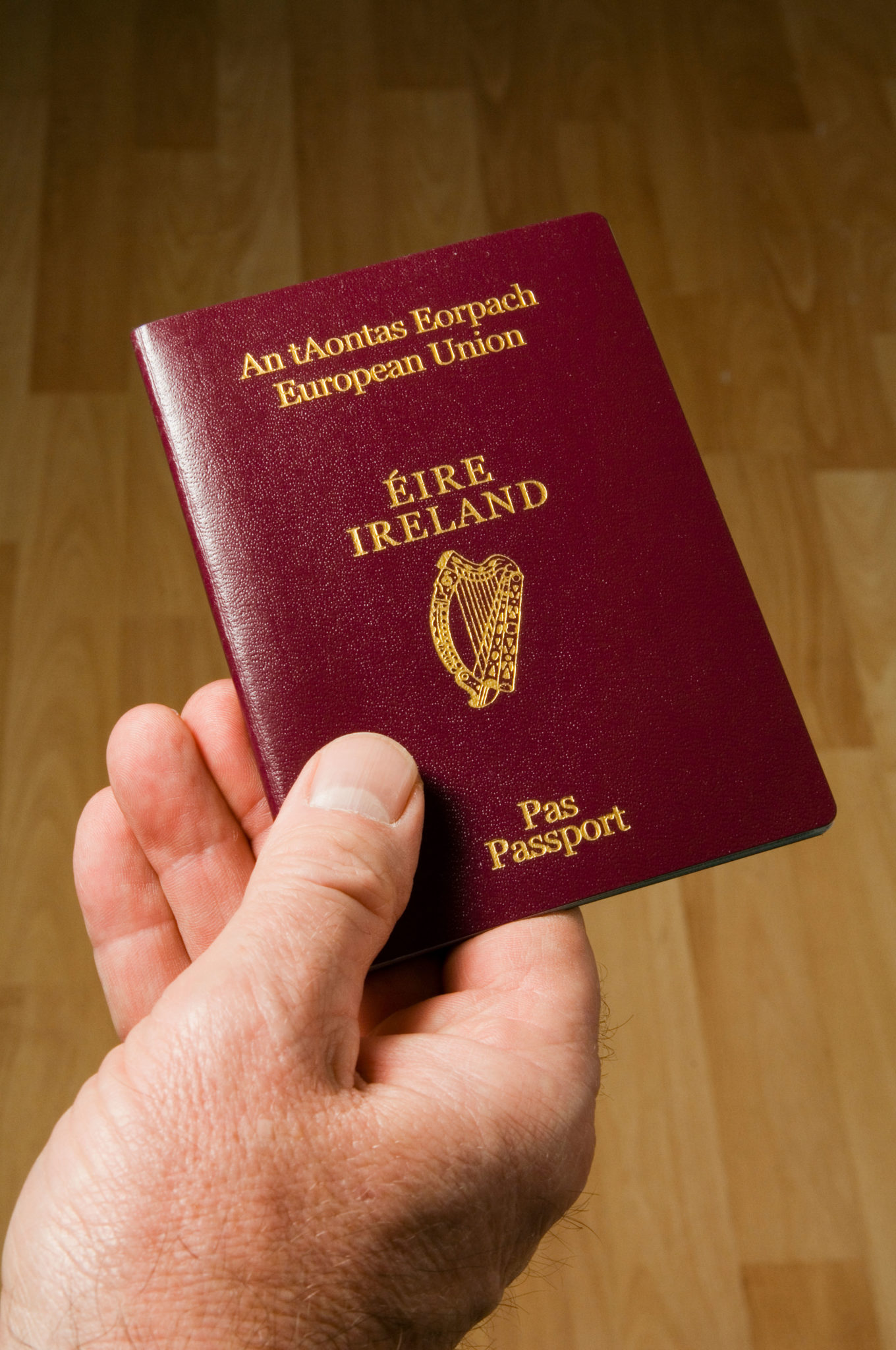 A man's hand holding an Irish passport in 2007