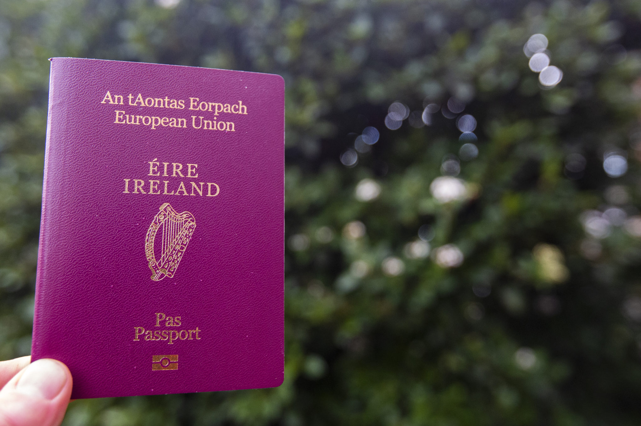 revealed-here-s-how-you-can-speed-up-a-passport-application-newstalk