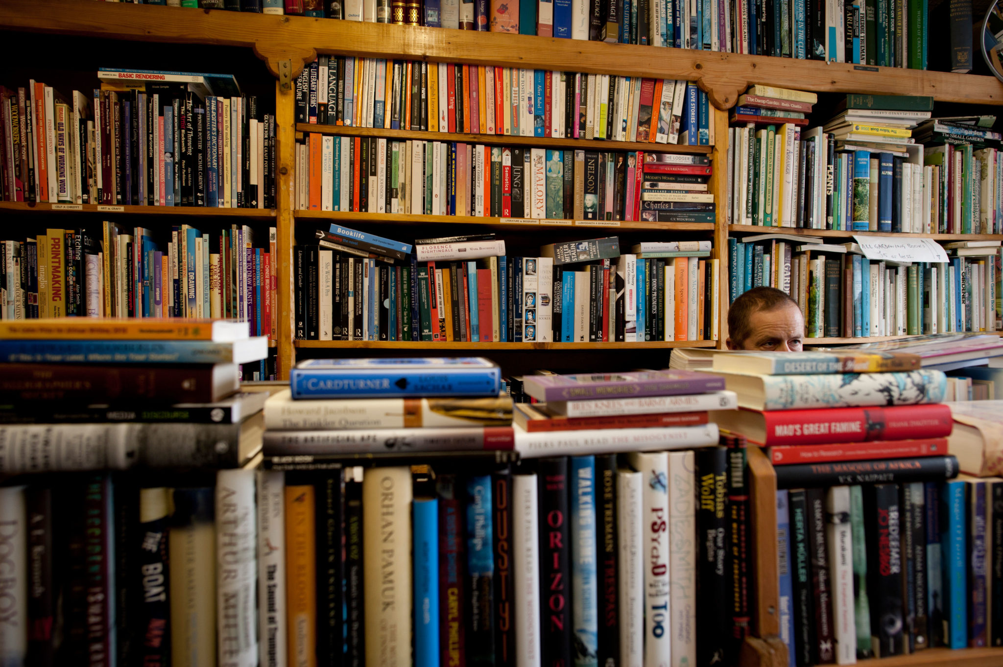 Best books to read this Christmas - Vimarsana News