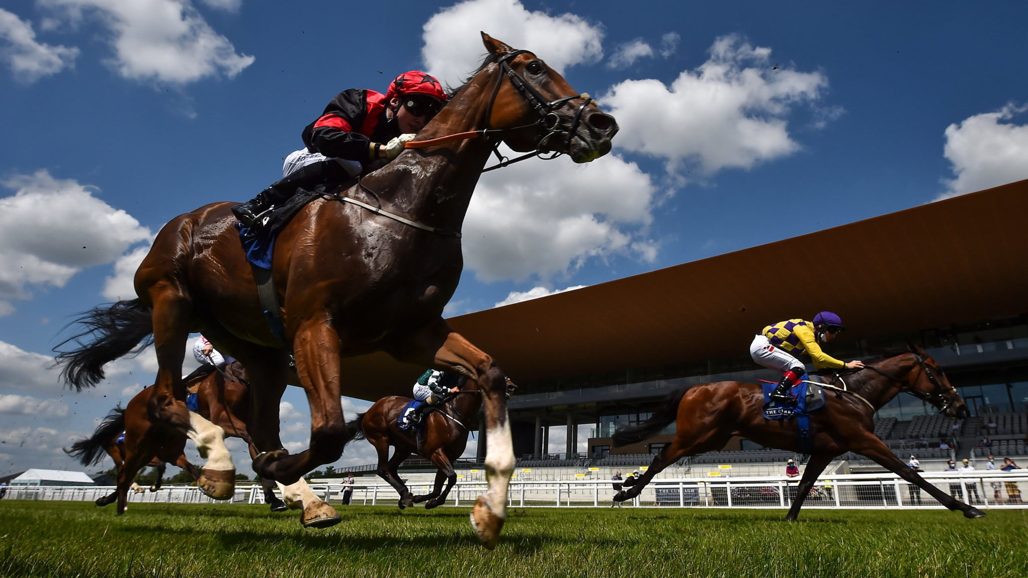 “It's inhumane” Cork student union ban promotion of horse racing