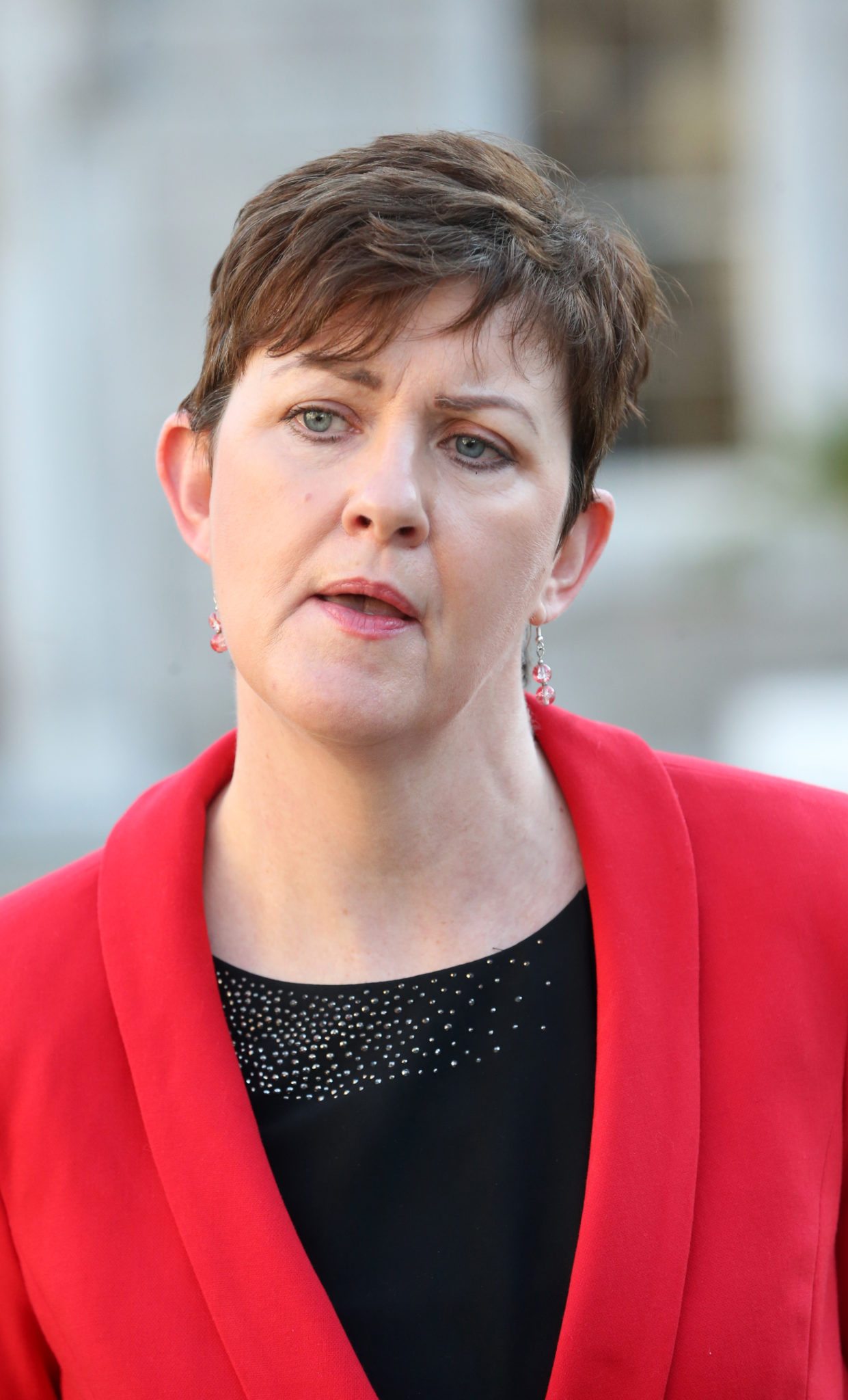 Sinn Féin TD Pauline Tully on the plinth at Leinster House. Image: Sasko Lazarov