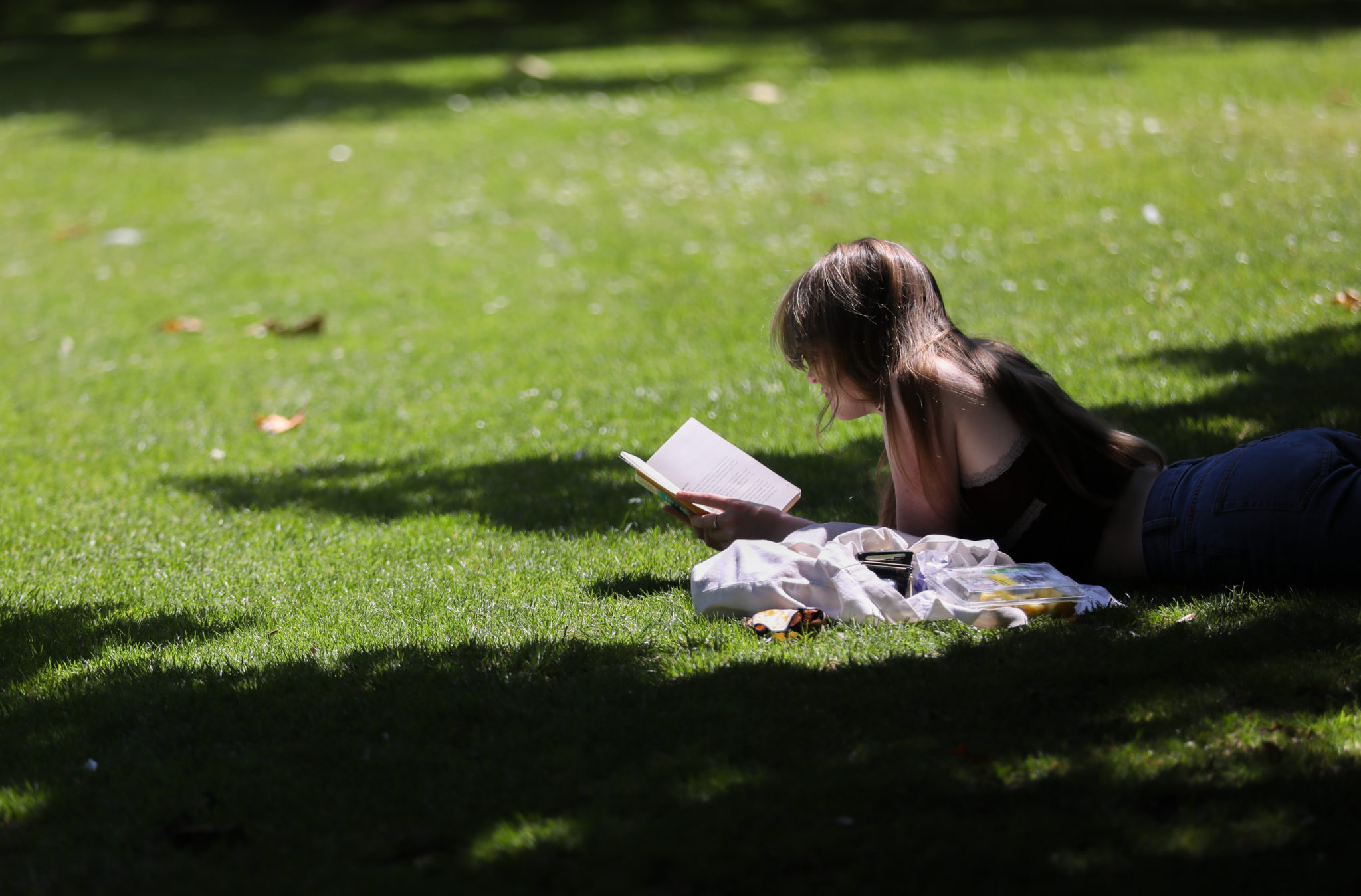 Record for warmest day in October could be broken tomorrow - Vimarsana News