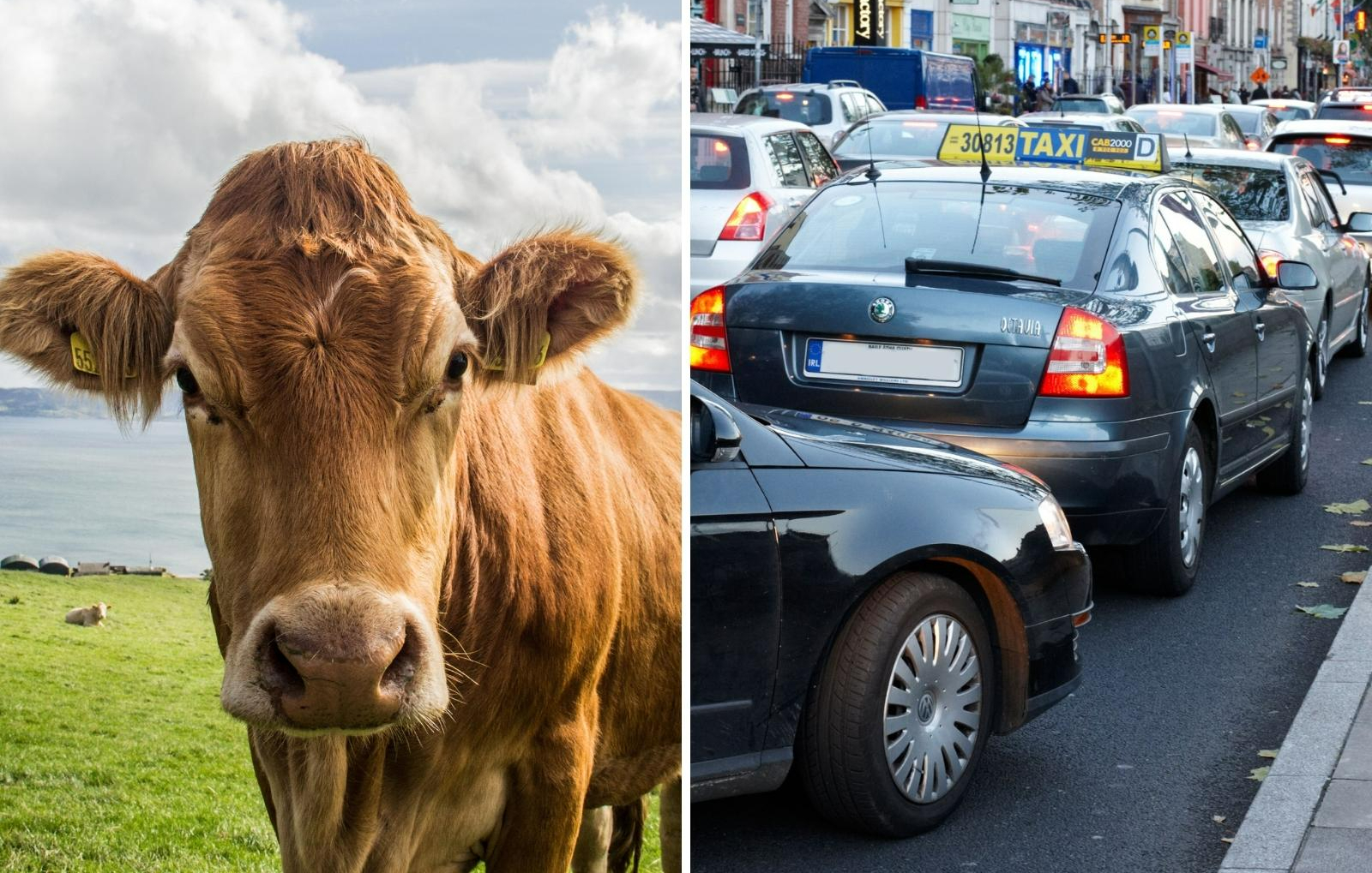 'Faster progress needed' as Ireland's greenhouse gas emissions drop