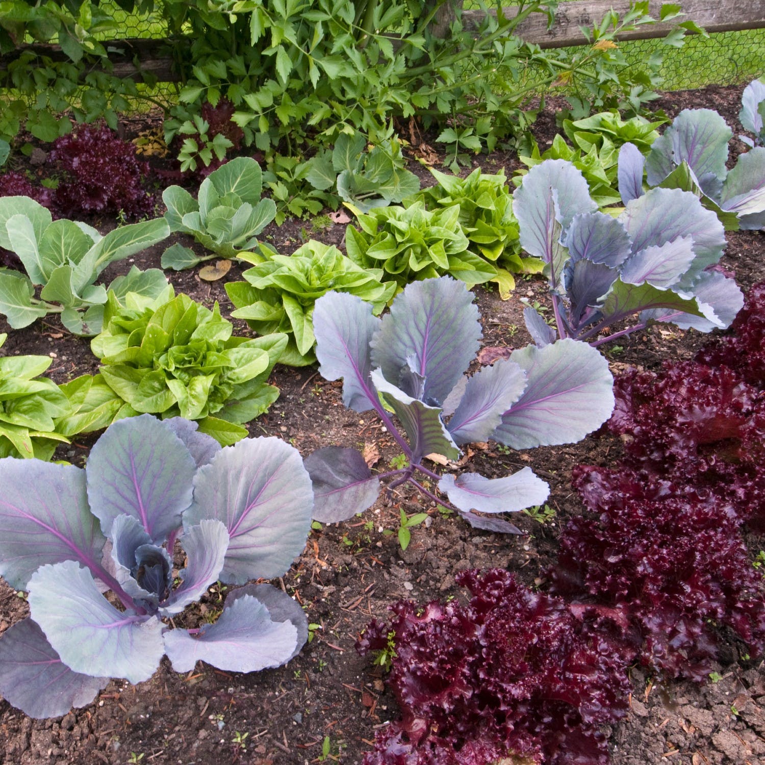 free online vegetable garden planner