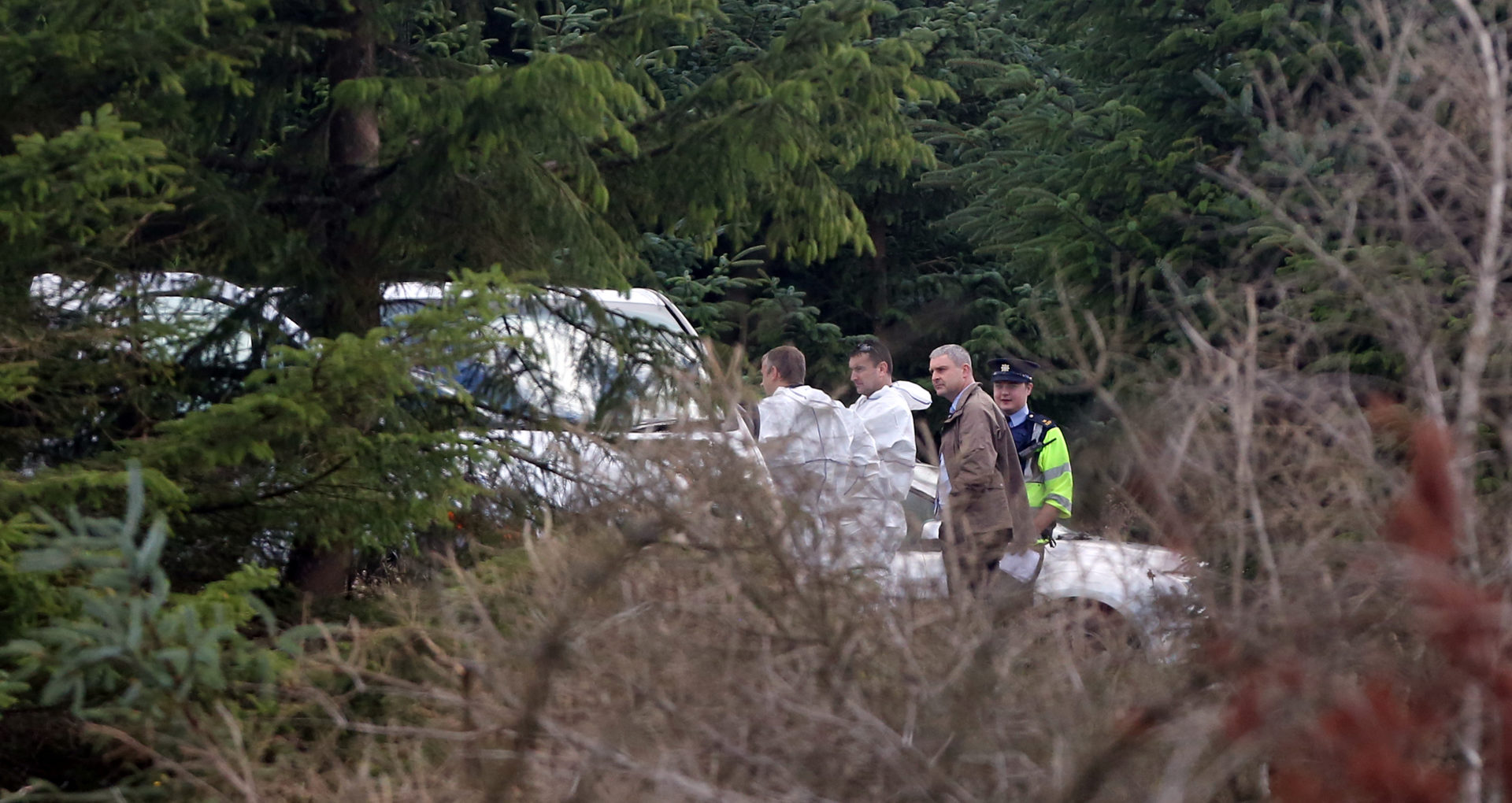 Gardai at the scene where the remains of Elaine O'Hara from Killiney were discovered on Kilakee Mountain.