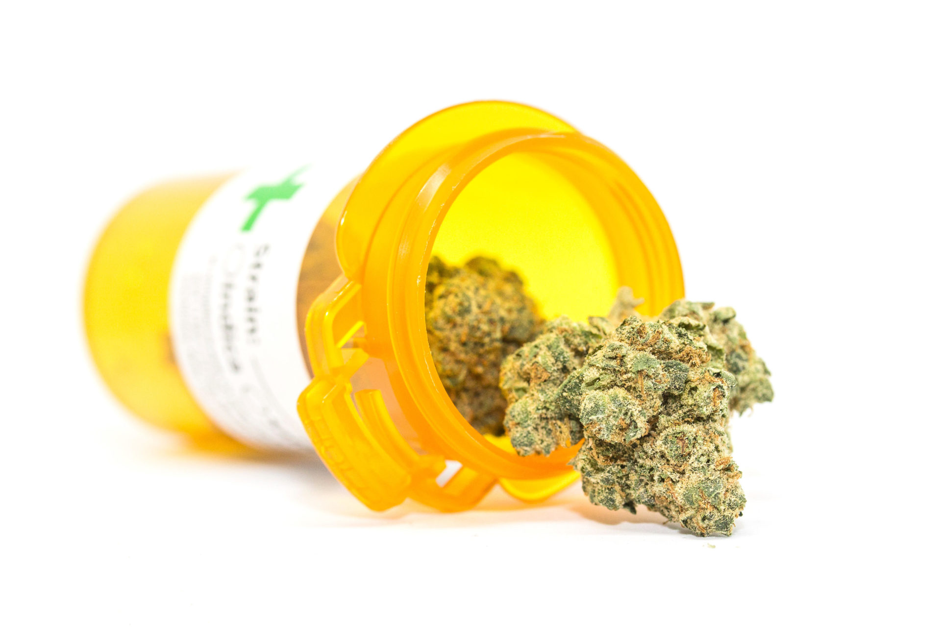 Medical cannabis protest to take place spinsouthwest