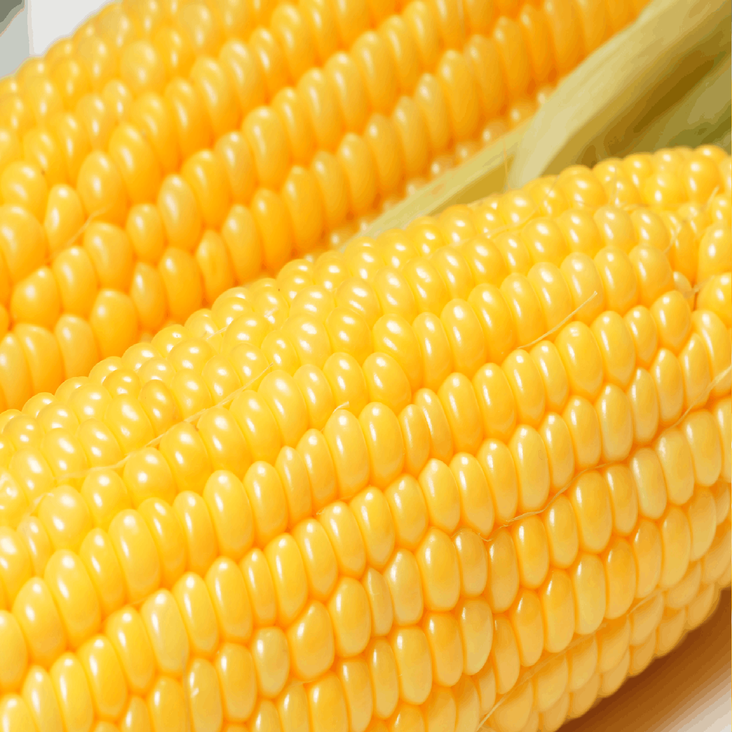 You Are What You Eat : Corn | Newstalk