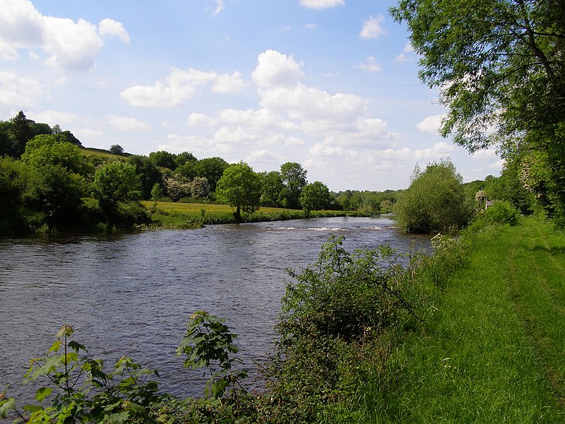 drowned. Image is of River Barrow, showing a body of water with trees on either side.