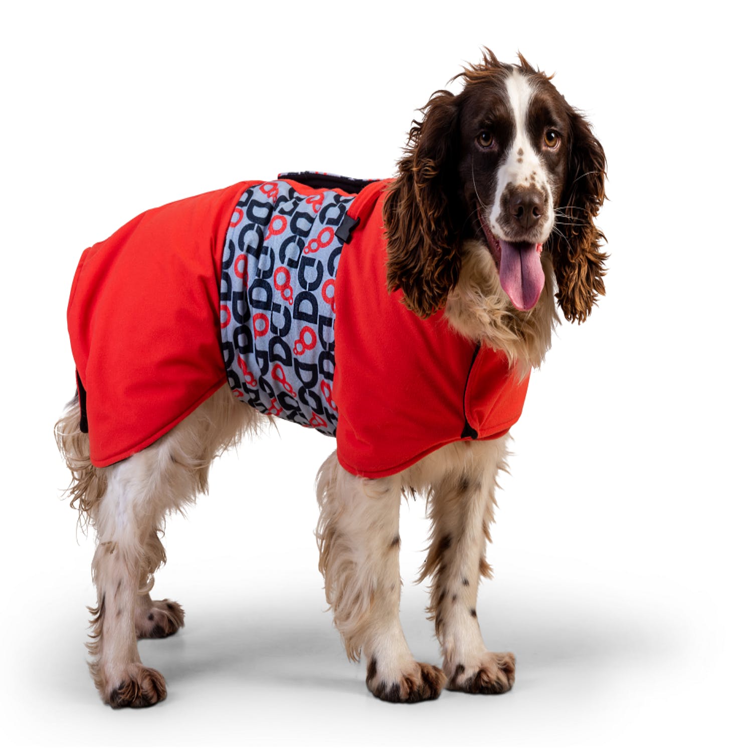DogDry Dry Robes for Dogs Newstalk