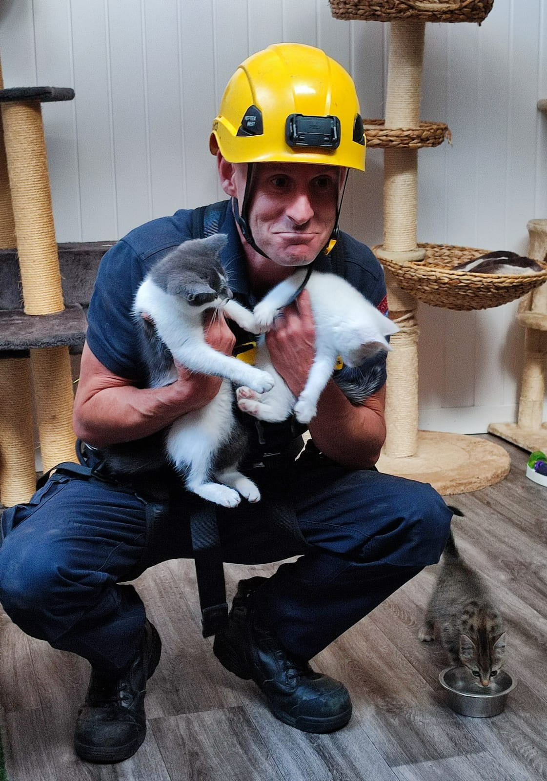 Firefighter Peter Conroy after rescuing the cats. Image: DFB