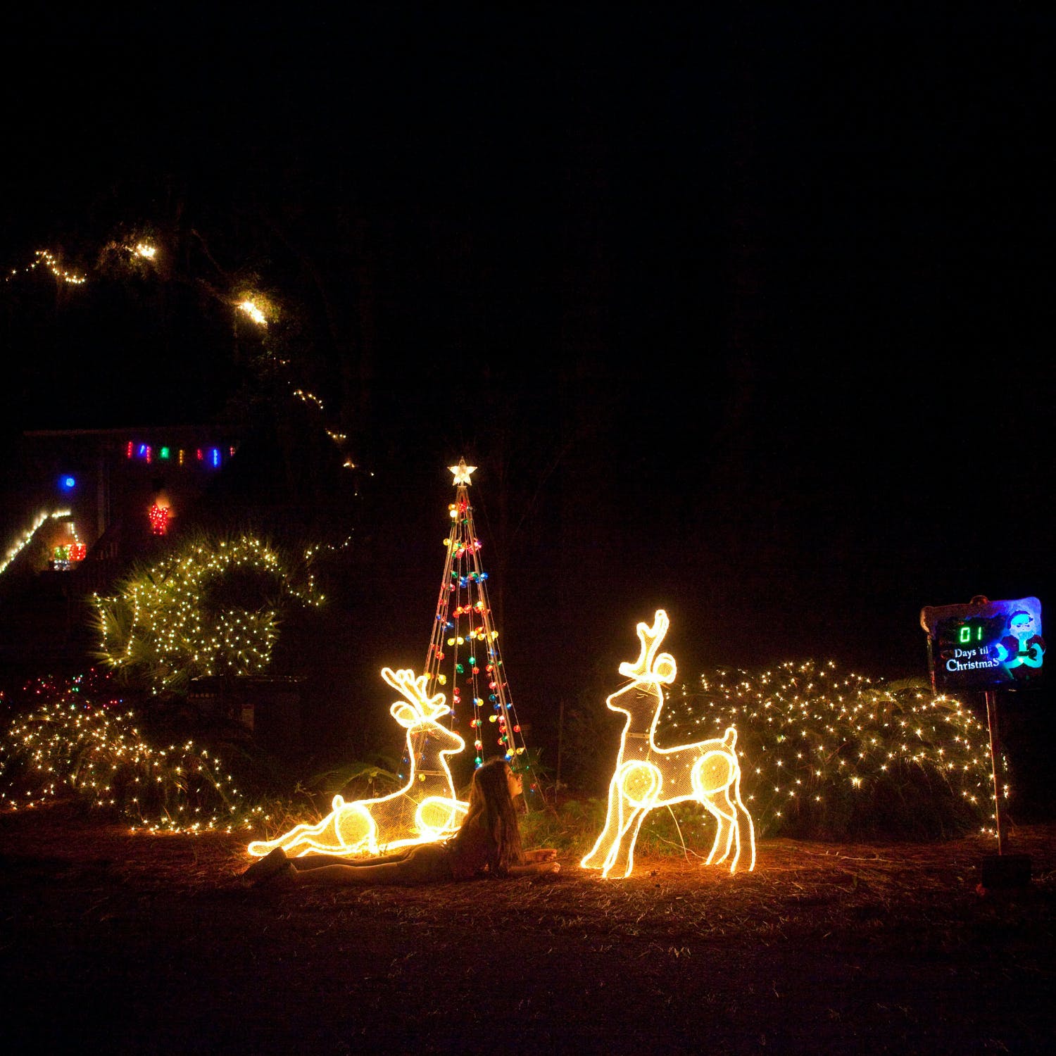 Should Christmas Lights Be Turned Off This Christmas To Save Energy?