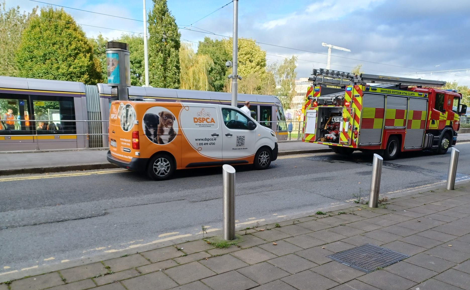 dog-rescued-from-underneath-luas-tram-in-dublin-newstalk