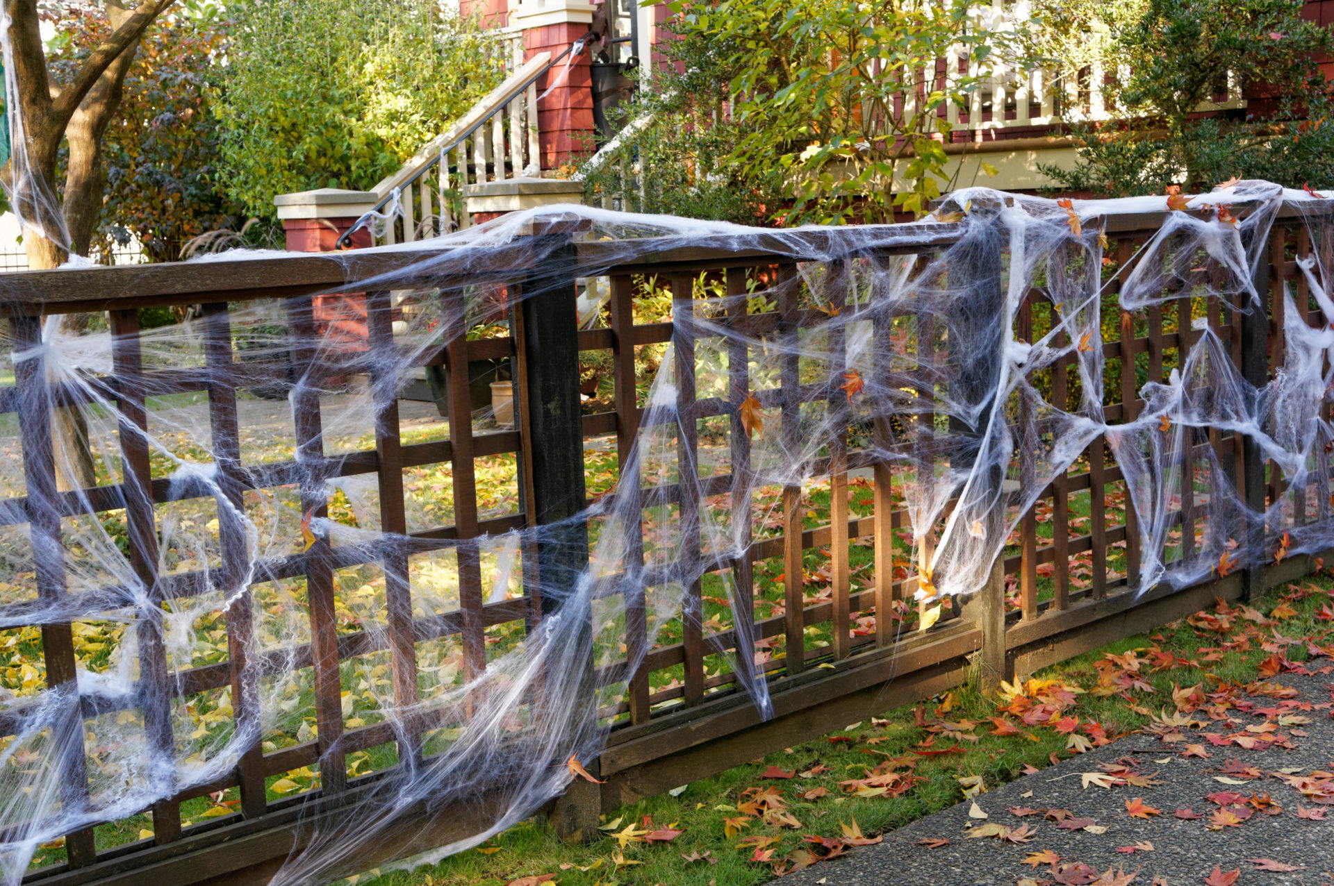 White Halloween spider webs decorating the fence of a house. Image: JSMimages / Alamy