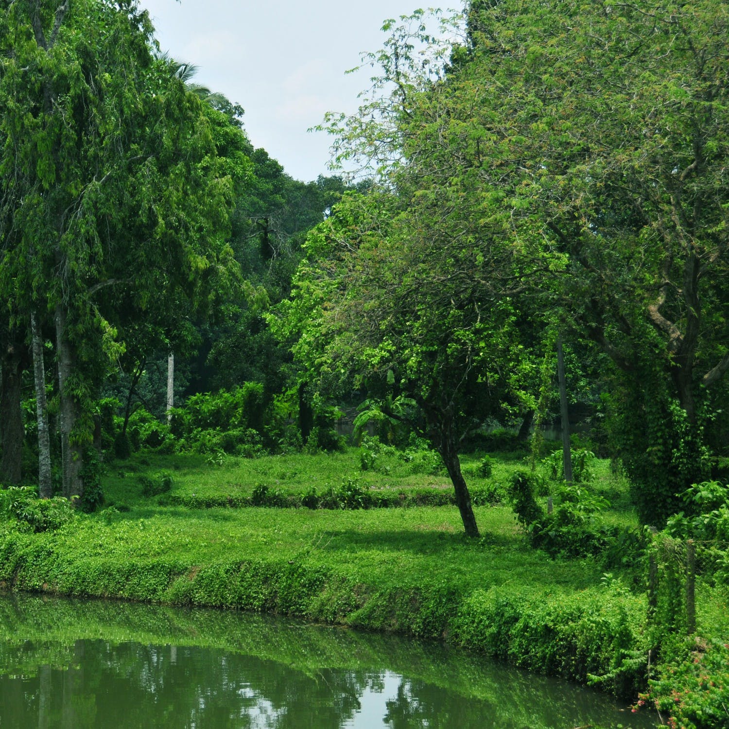 Are Green Spaces In Towns And Cities Are Important? 