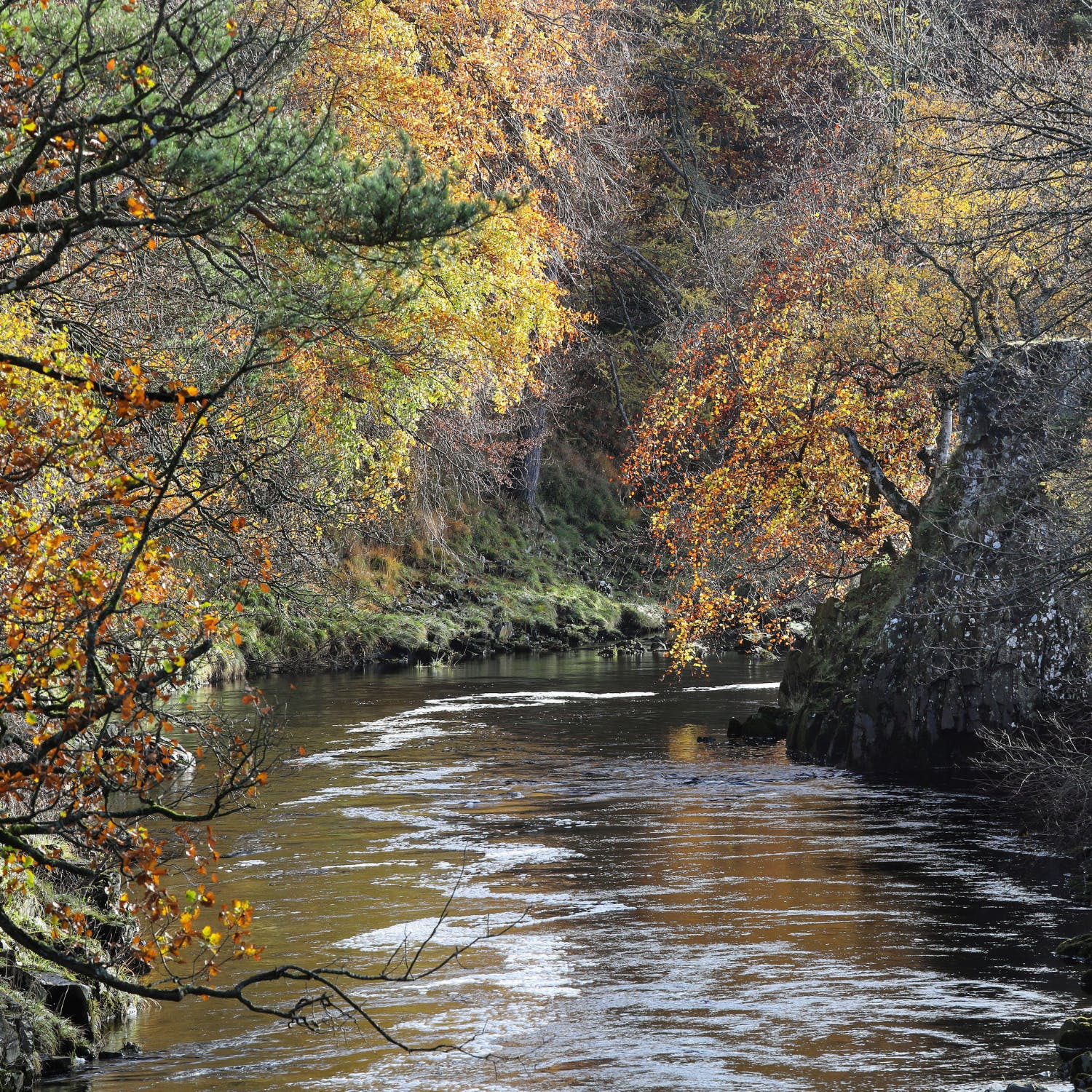 Water Cremation Newstalk