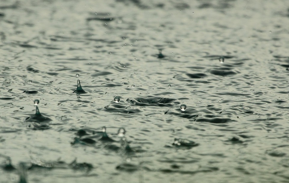 weather. Image shows rain falling on the ground.